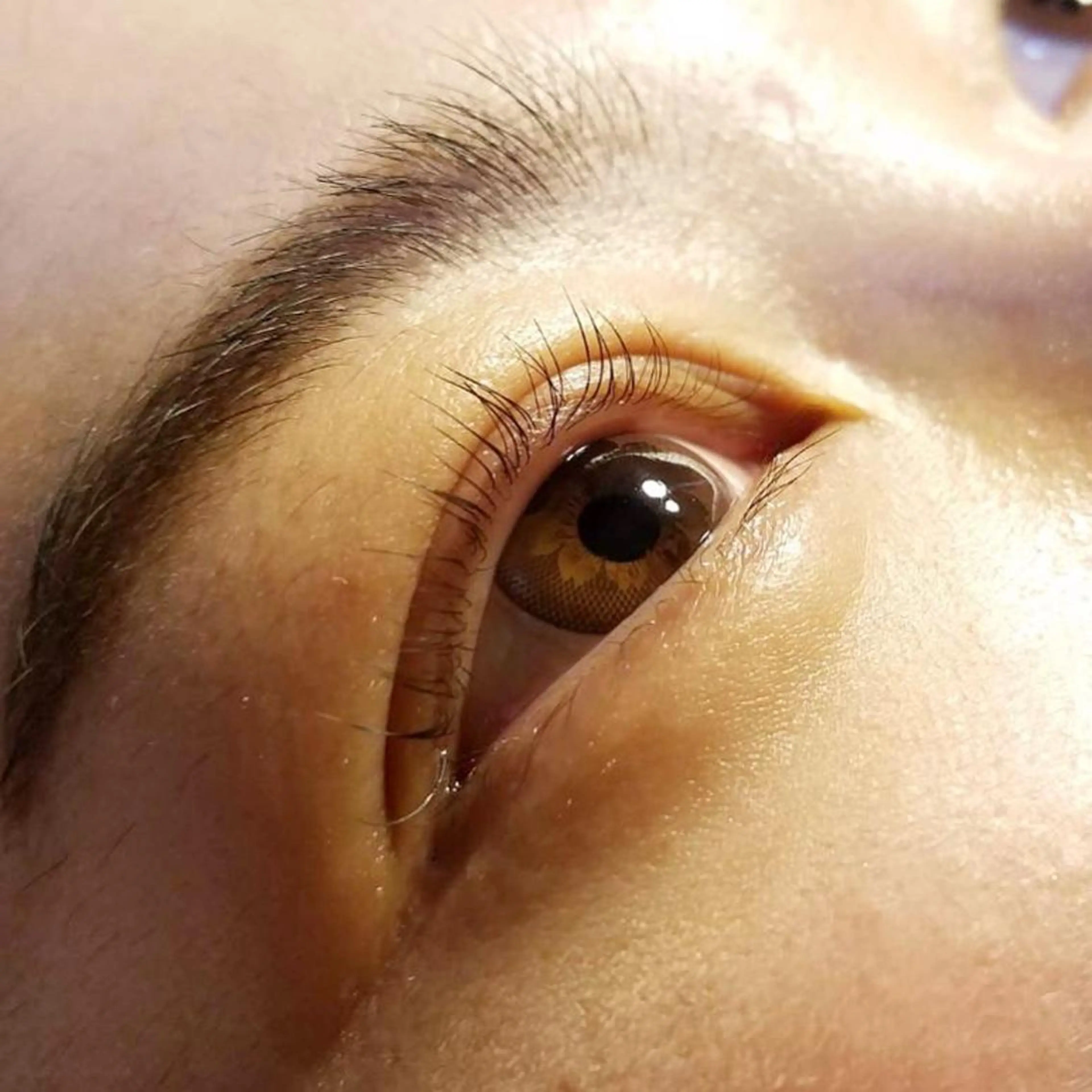 マツエク・マツパ パリジェンヌラッシュリフト マツパ Sifa eyelashのマツエク・マツパデザイン