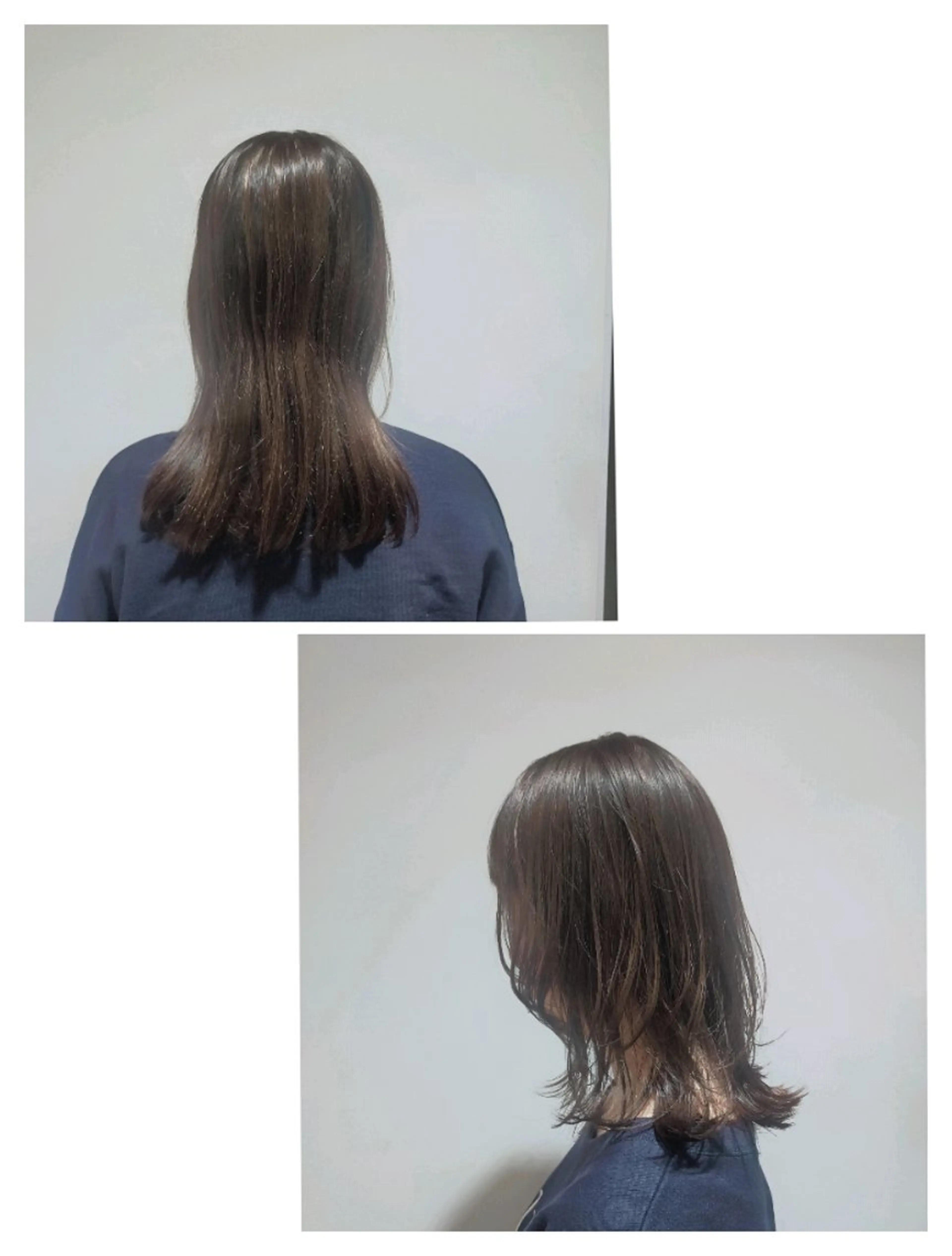 ミディアム ウルフカット 和佐 ももえのヘアスタイル