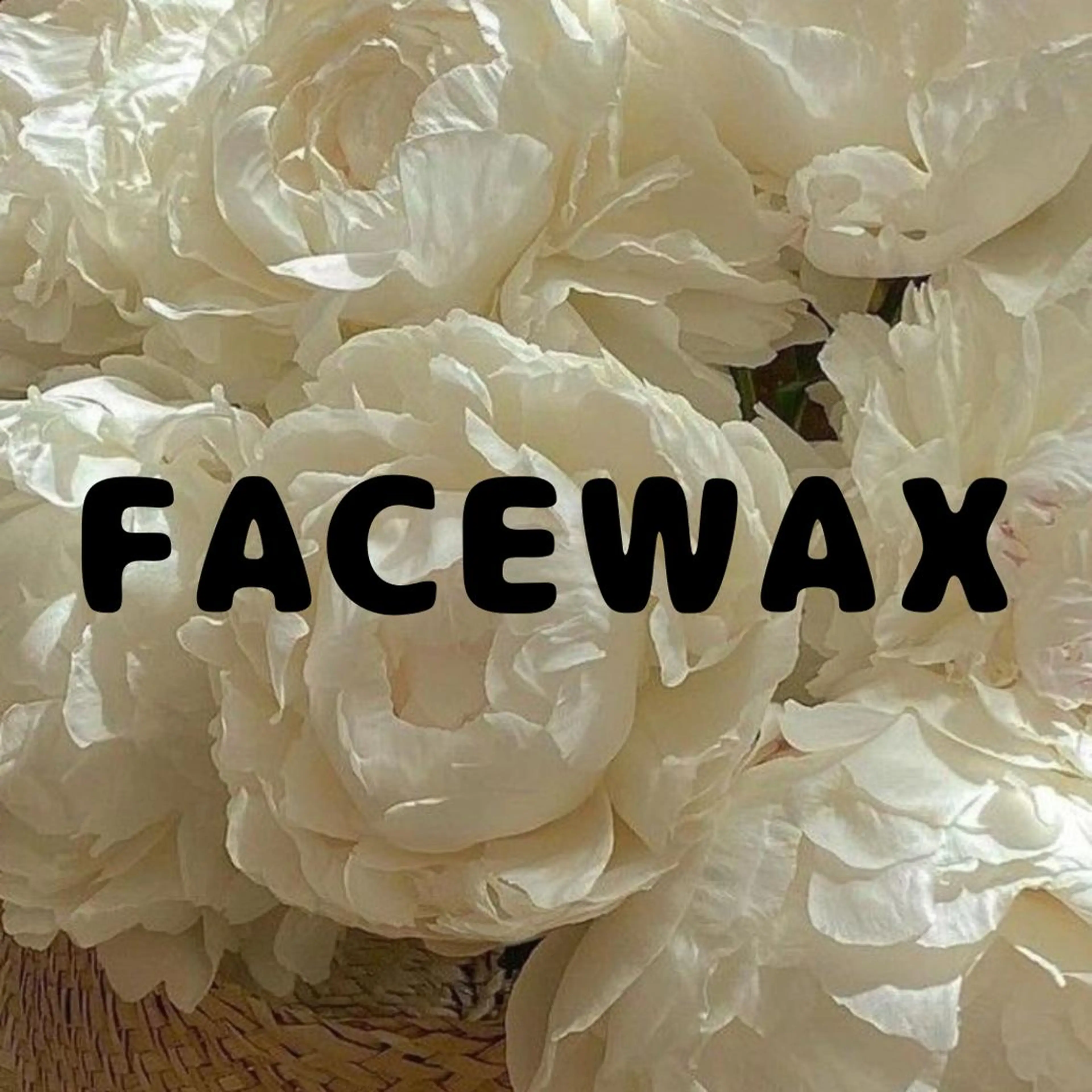 【女性:ご新規様】🪞フェイシャルWAX🪞の写真