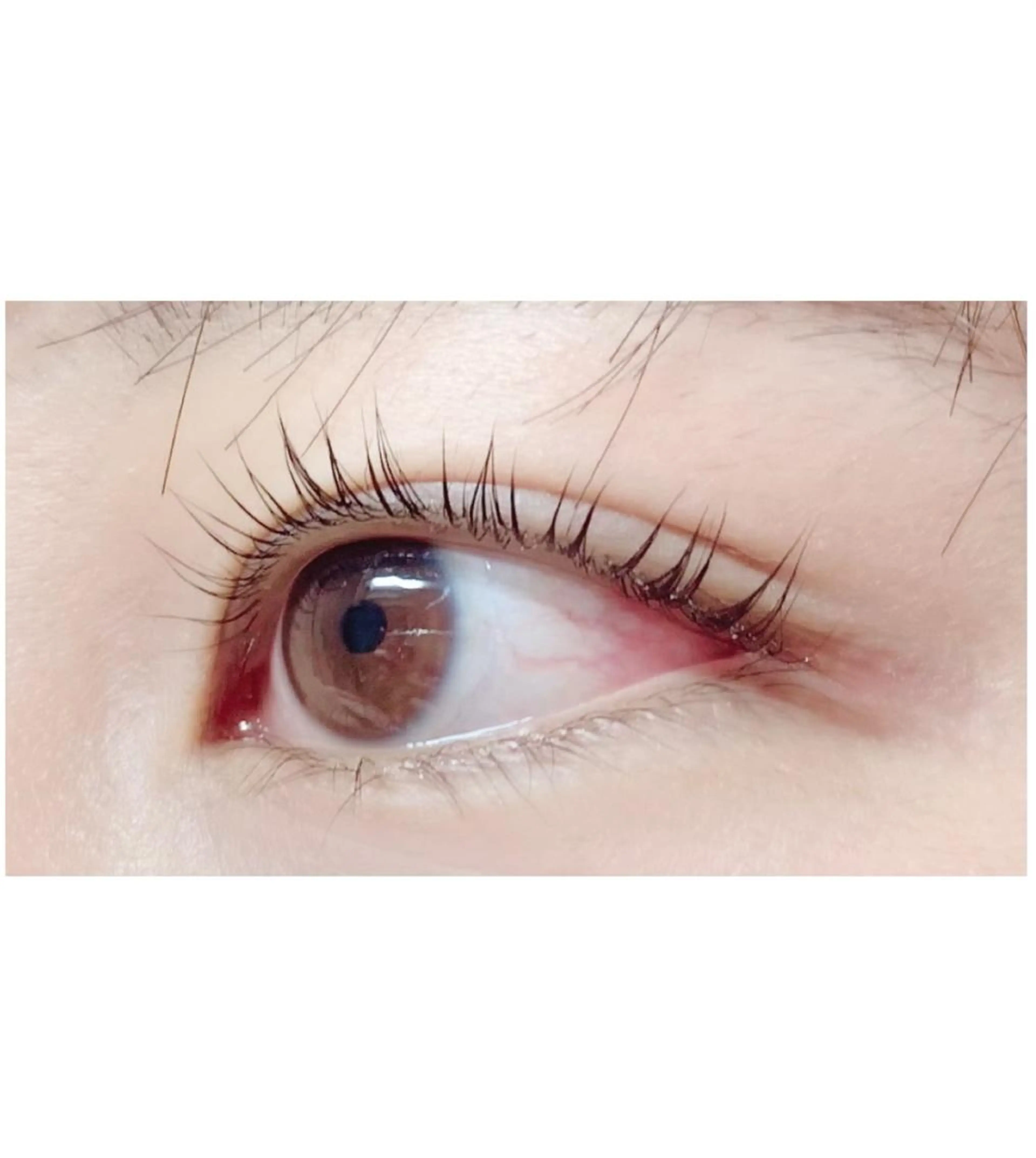 【活性ケラチントリートメント付き】まつげパーマorラッシュリフト&トリートメントのセット★エッセンスでうる艶まつげに⭐︎の写真