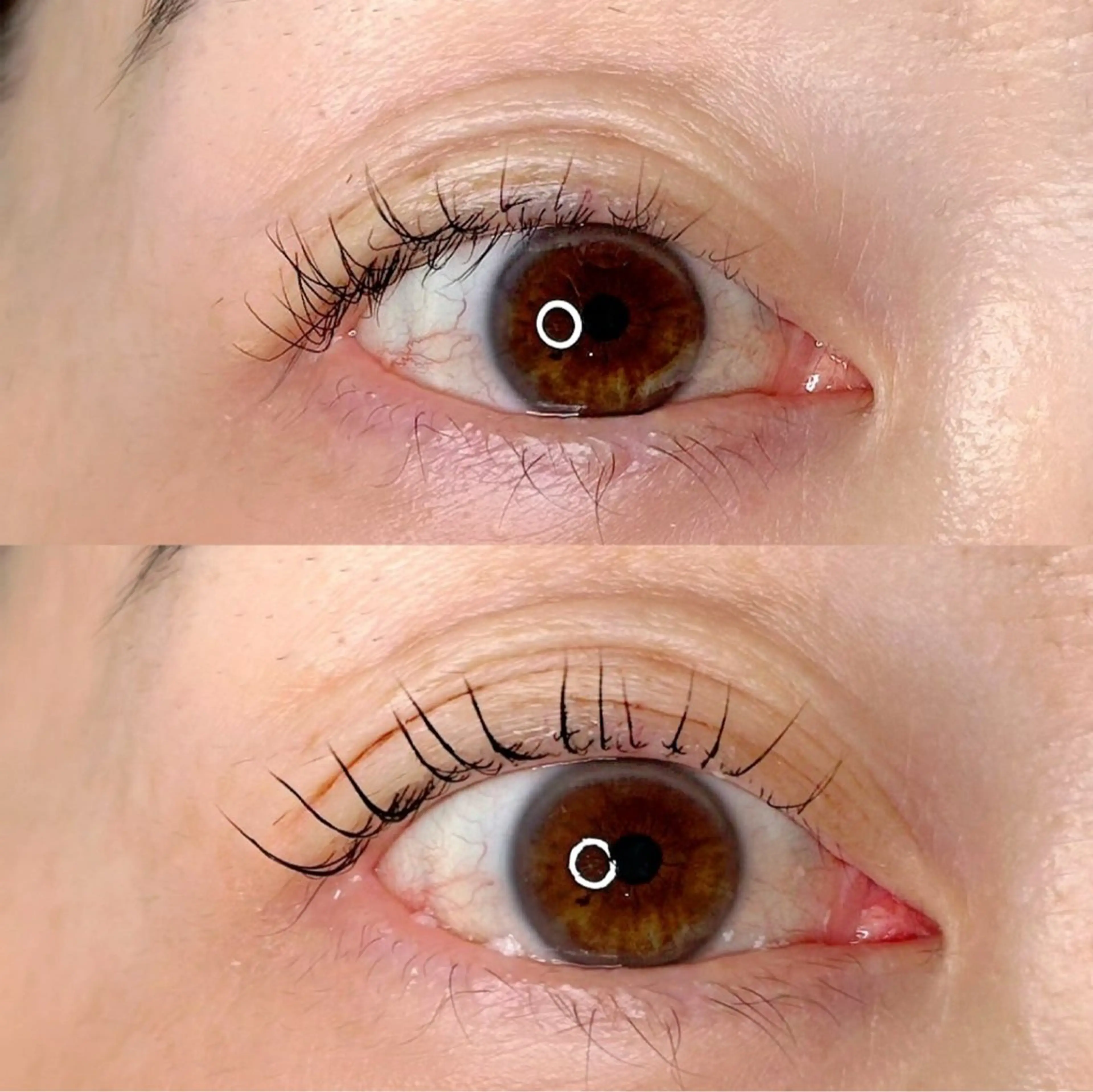 マツエク・マツパ まつげパーマ 【and.R 】齋藤 惠女のマツエク・マツパデザイン