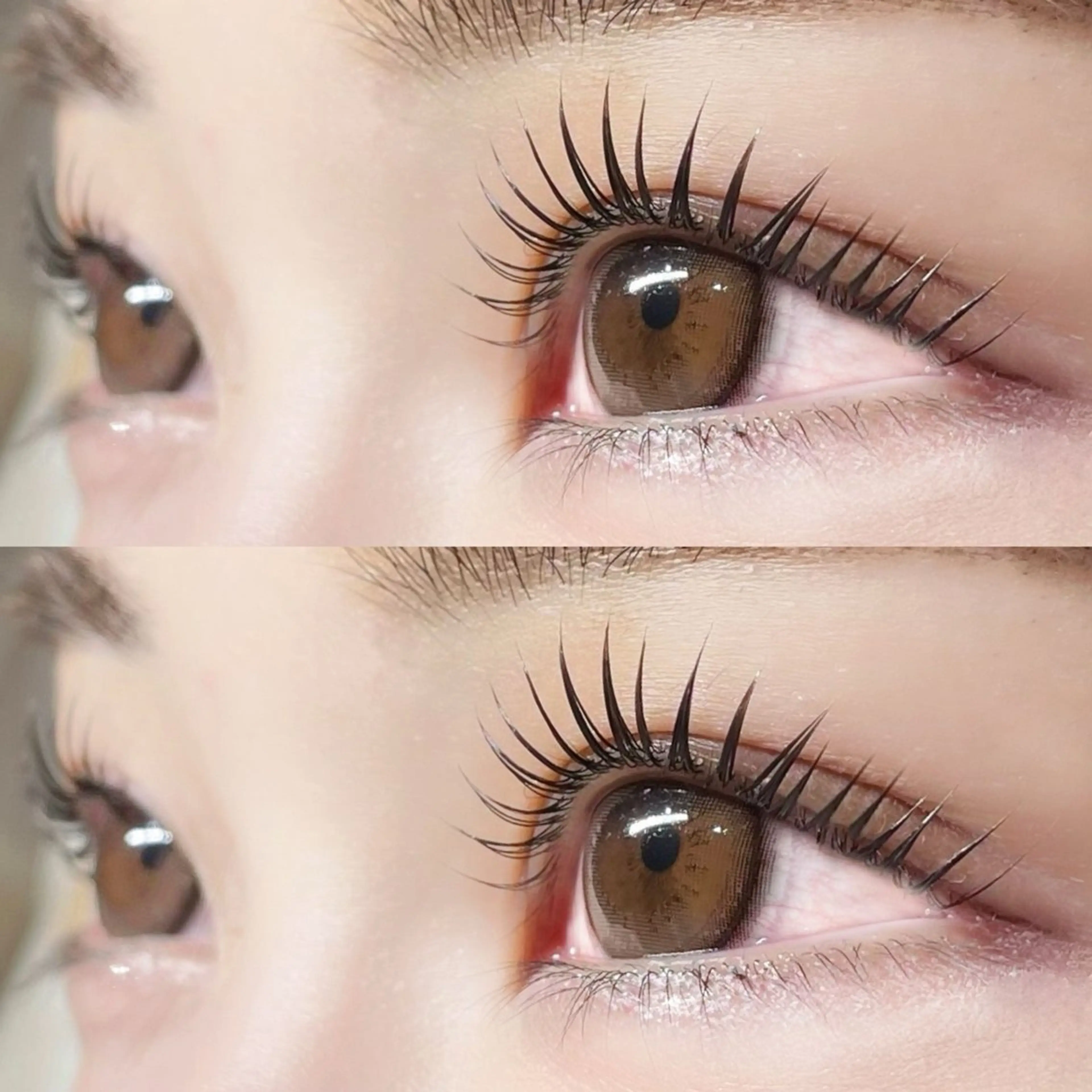 【10名様限定💖】マツエク100本（片目50本ずつ）の写真