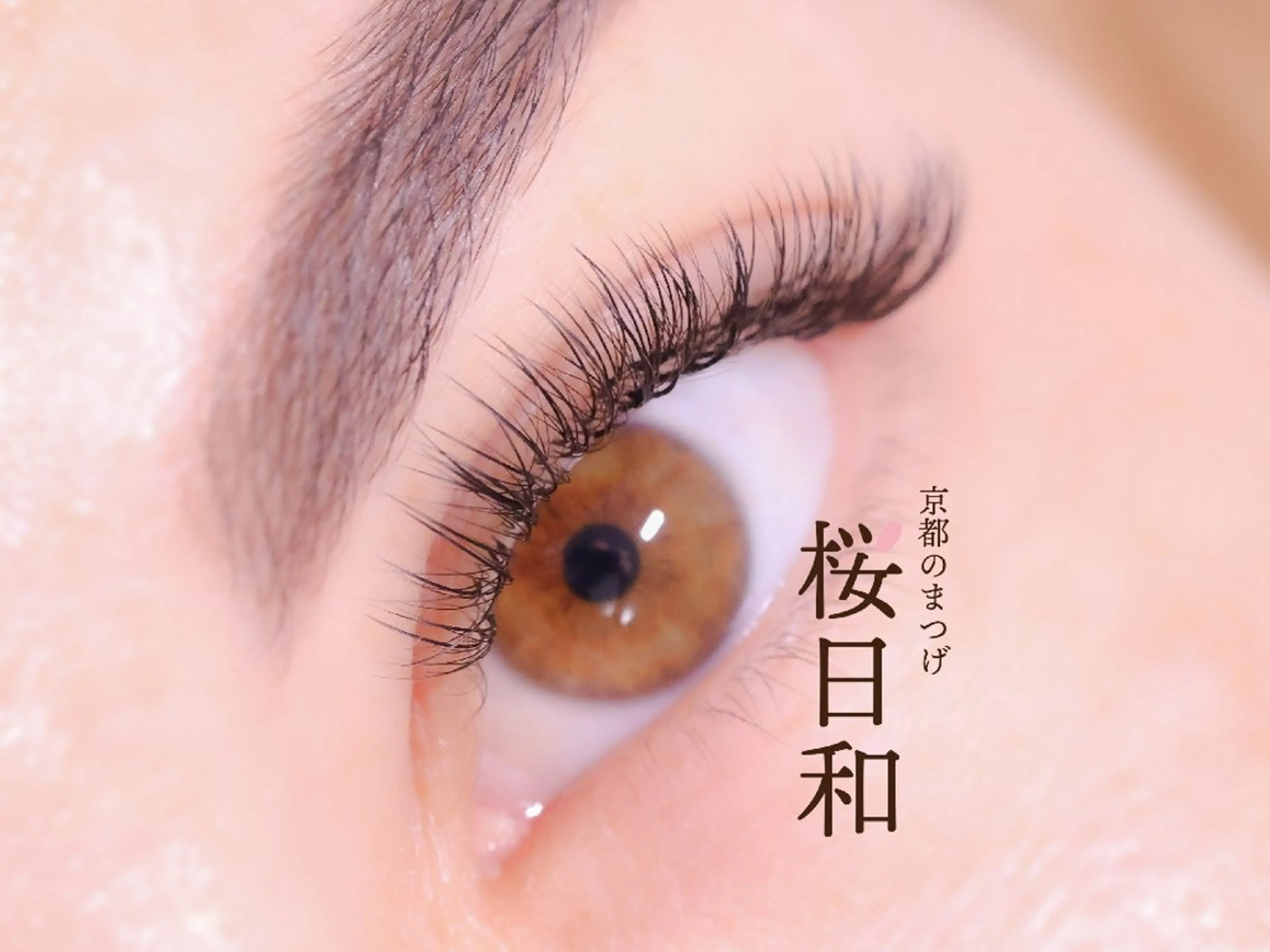 マツエク・マツパ ナチュラル セクシー 京都のまつげ桜日和 小島美桜のマツエク・マツパデザイン