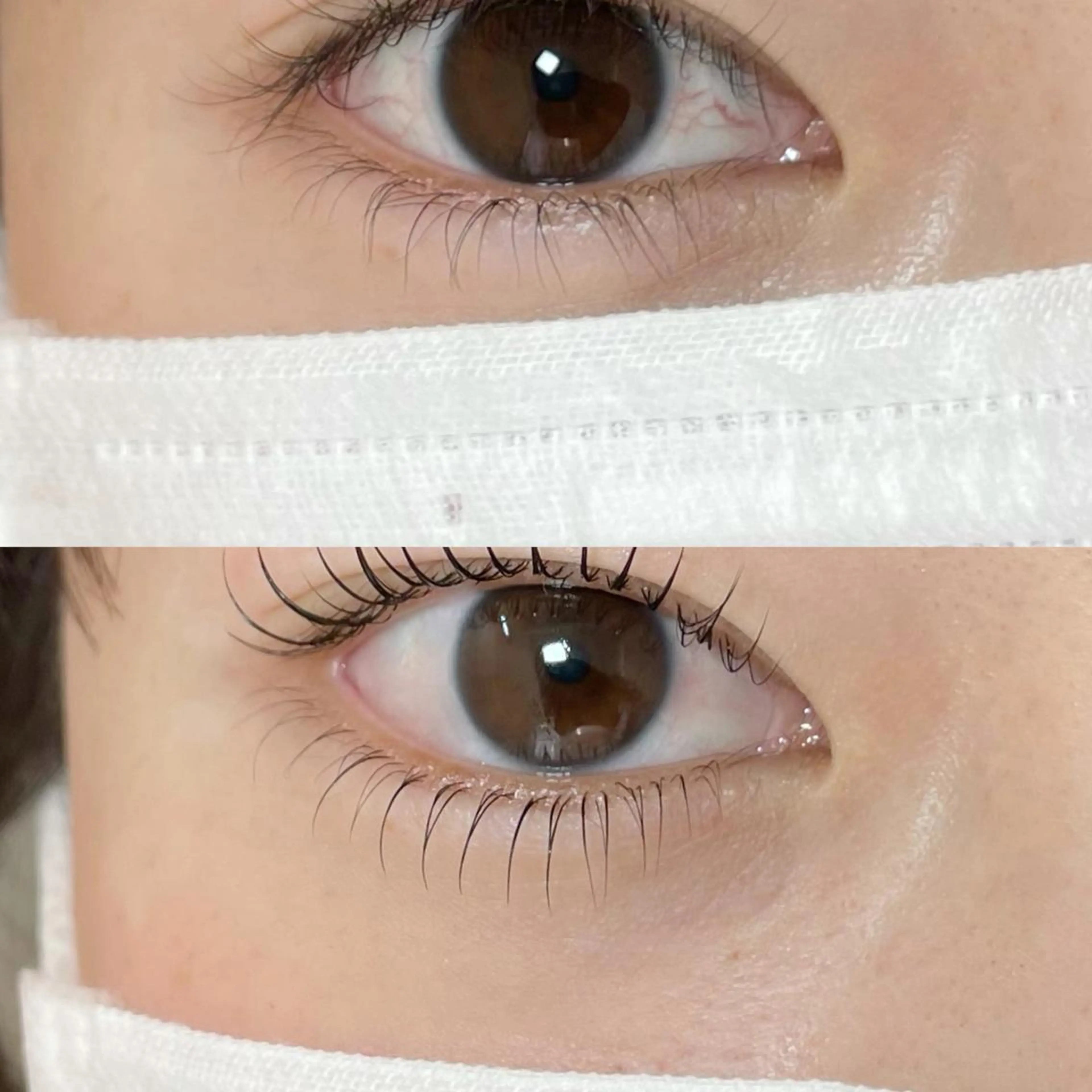 マツエク・マツパ まつげパーマ 下まつげエクステ マツパ Yui eye 表参道のマツエク・マツパデザイン