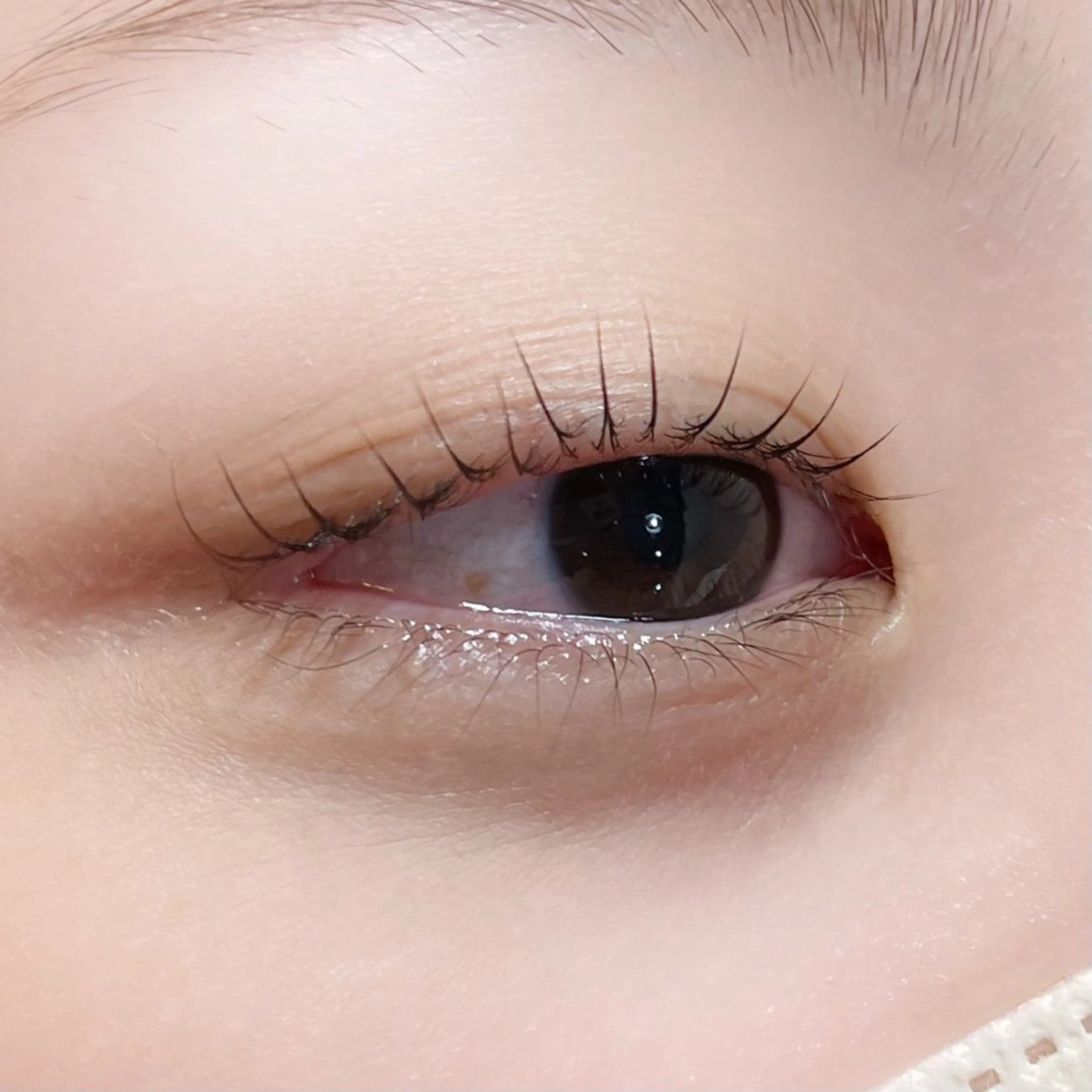 マツエク・マツパ マツパ 櫻井 怜華のマツエク・マツパデザイン