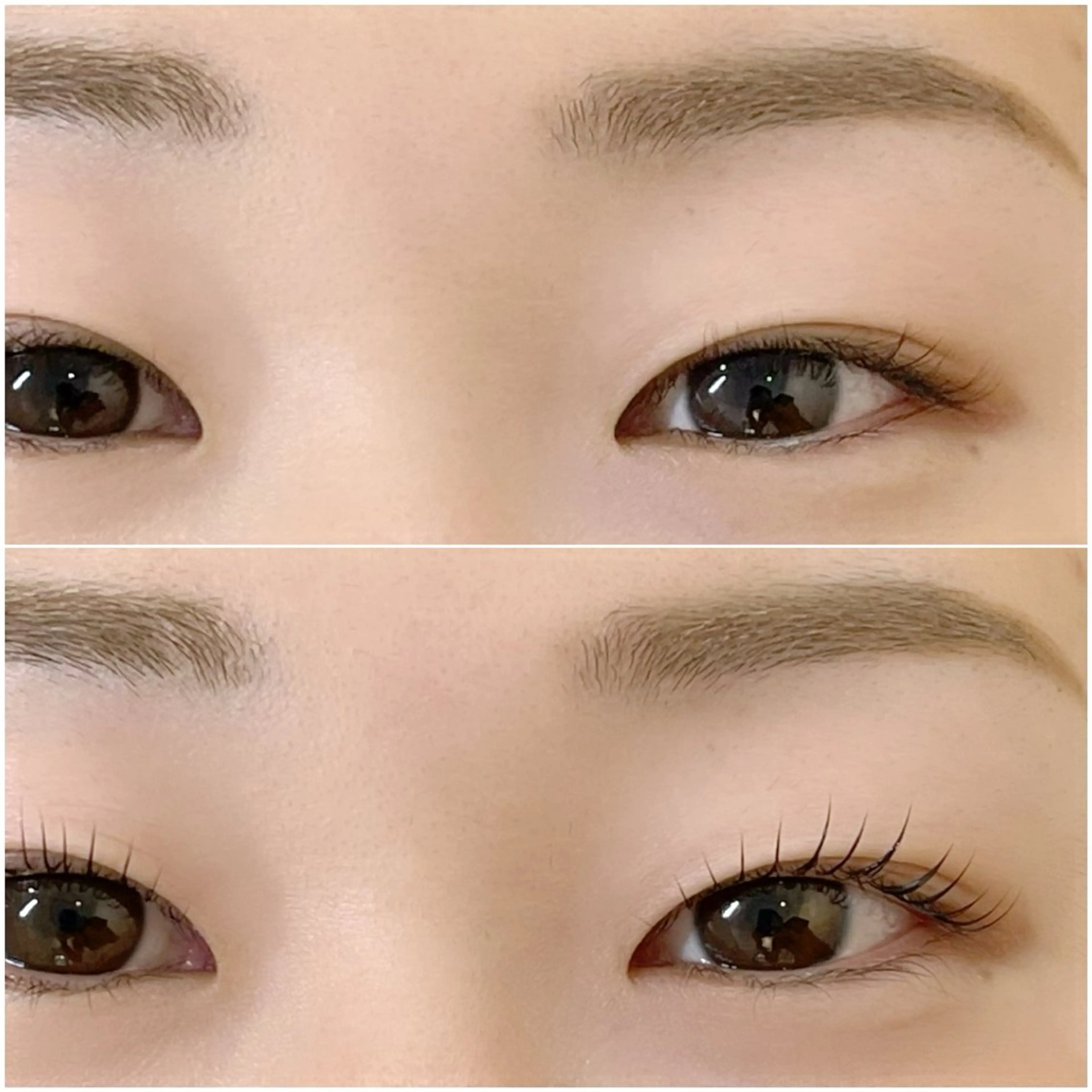 マツエク・マツパ パリジェンヌラッシュリフト 一重×まつ毛パーマ Y.eyelash 赤羽/志茂のマツエク・マツパデザイン