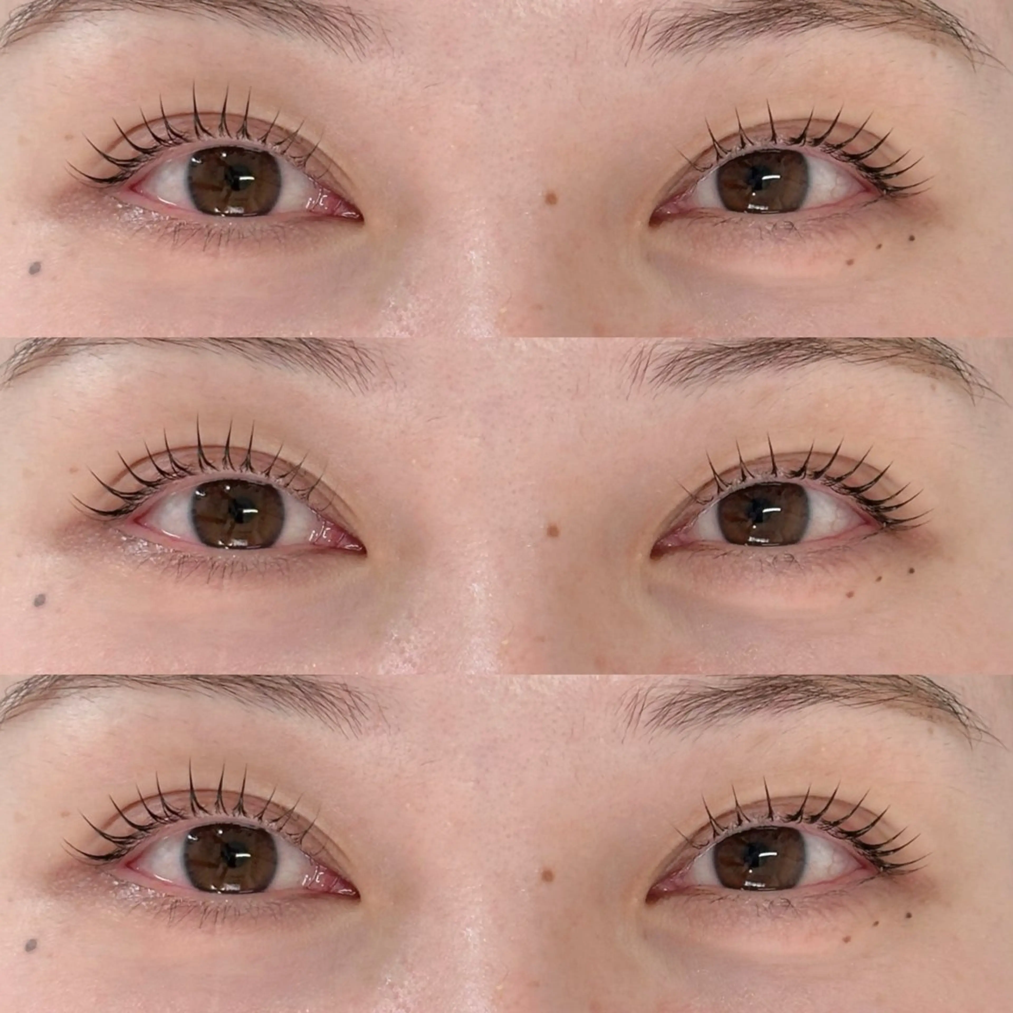 まつ毛パーマ+アイシャンプー＆トリートメント付きの写真