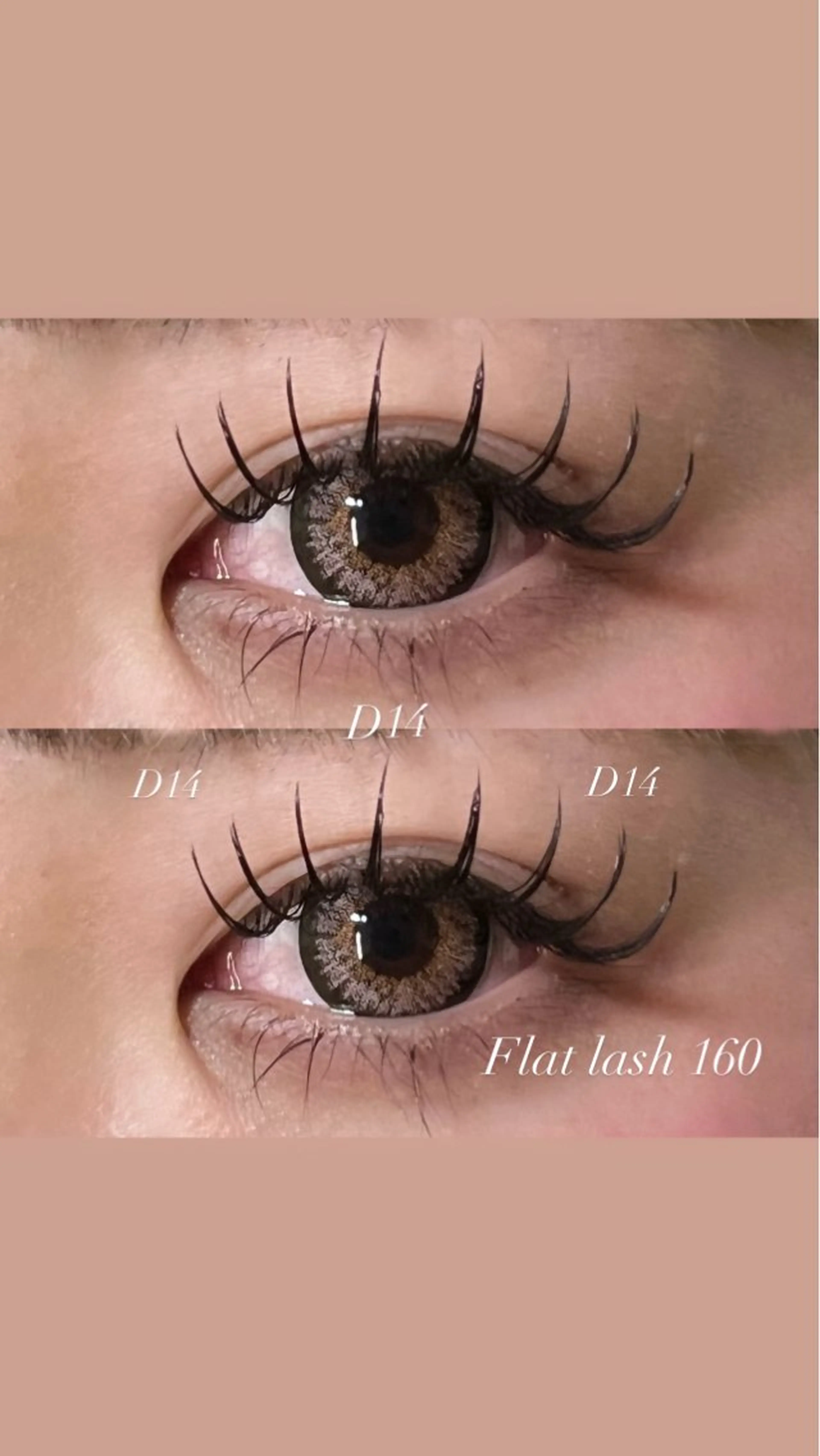 ⟡.·*. Wフラット マツエク [ 60束 ] ＋美容コーティング付き🪄🫧の写真