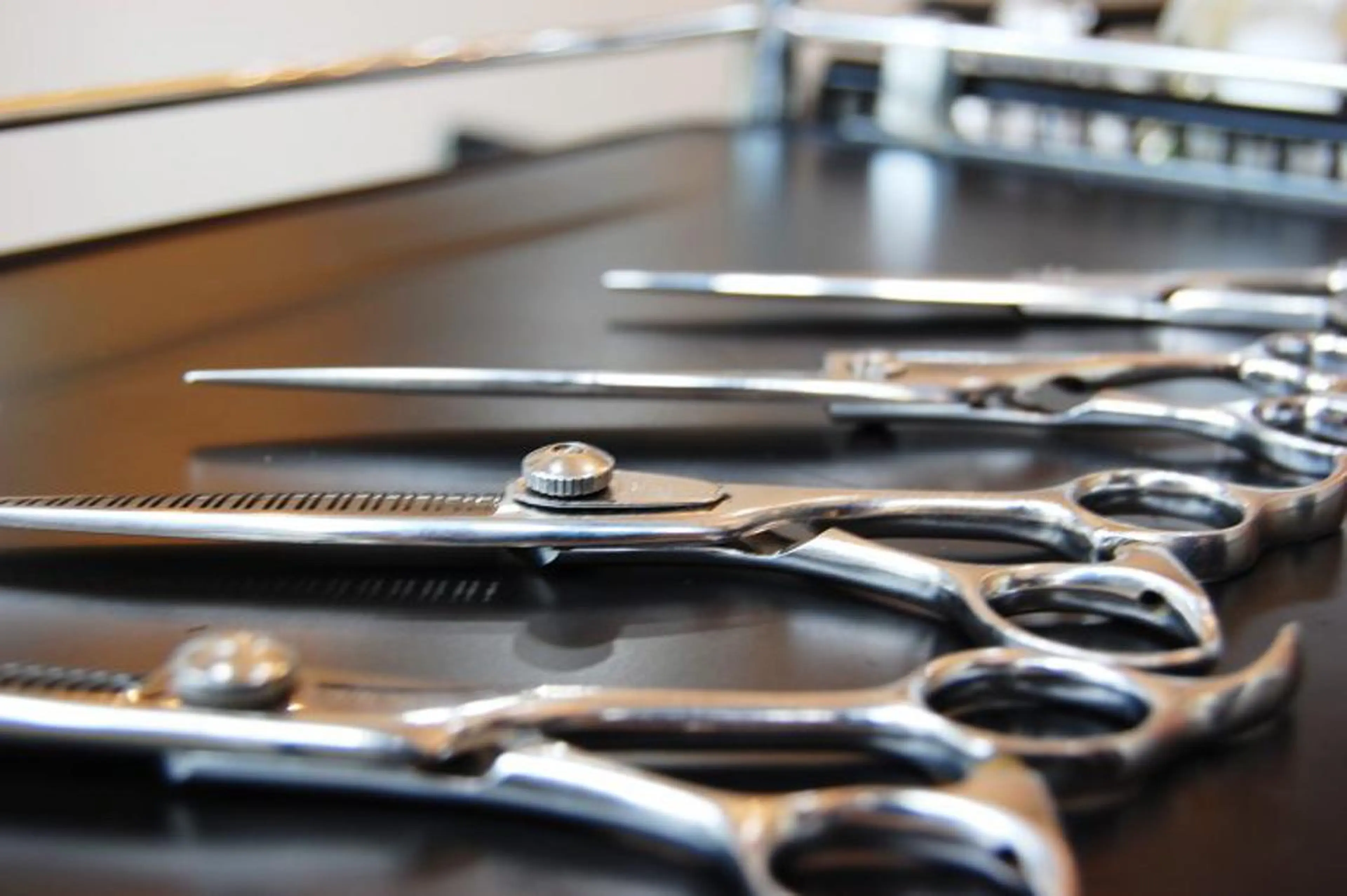 ✂️フェードのみ受付✂️(メンズカットモデル)の写真