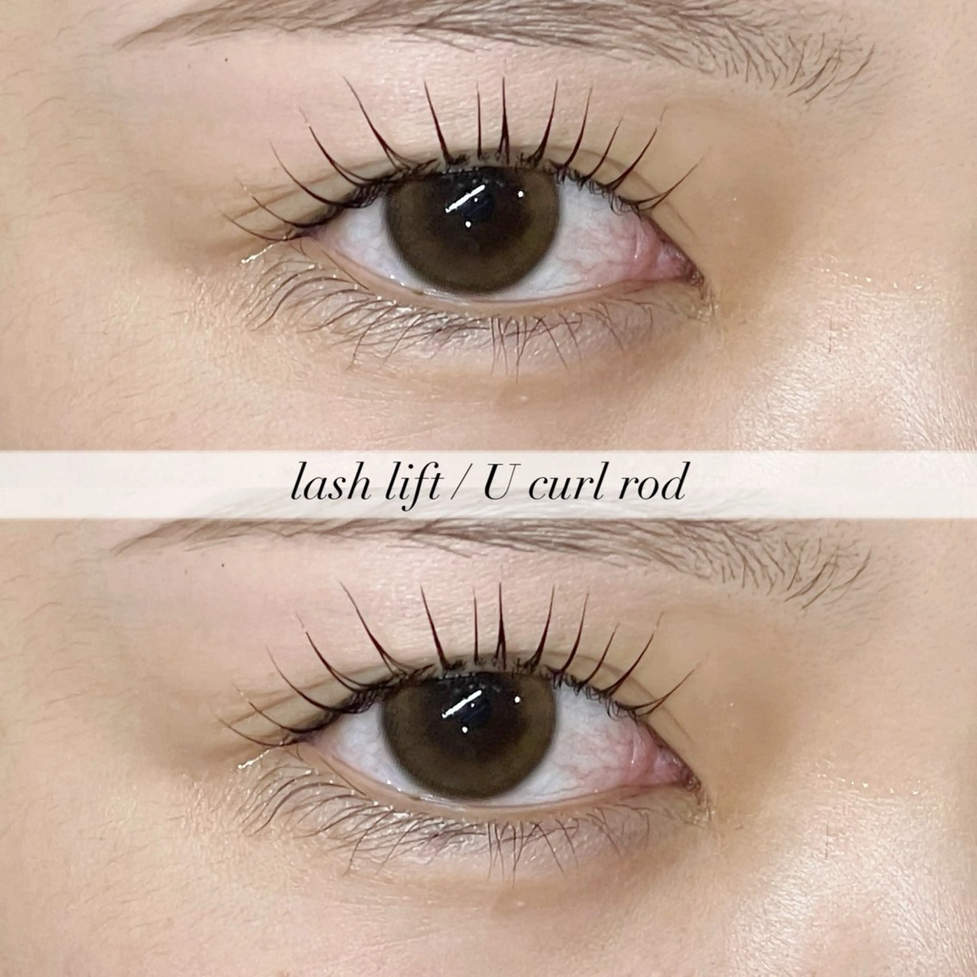 【ご新規様】美眉スタイリング×まつげパーマ🎀の写真