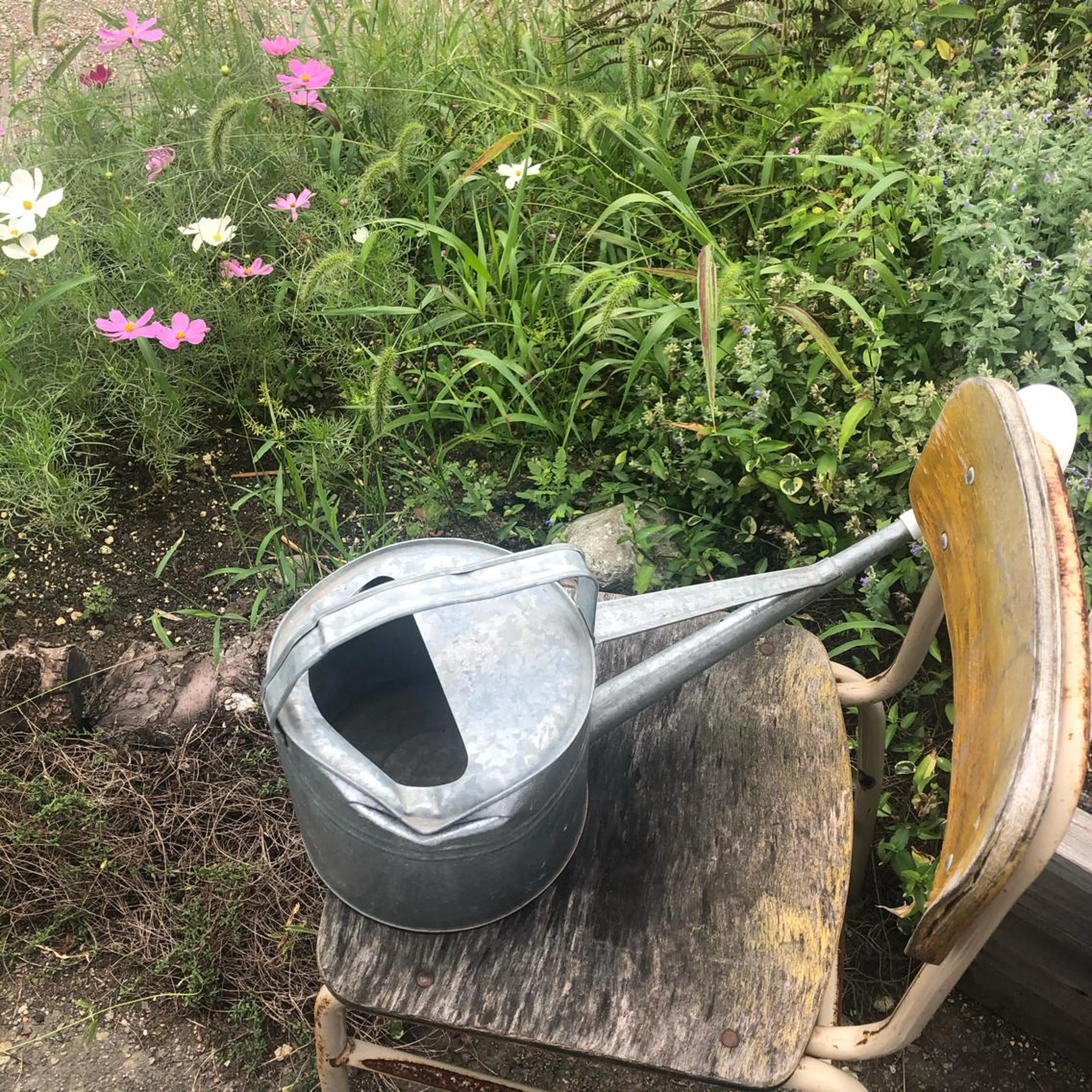 セミロング カラー ヘアカラー ハイトーンピンク🍑 ブリーチ🍑RINAのヘアスタイル