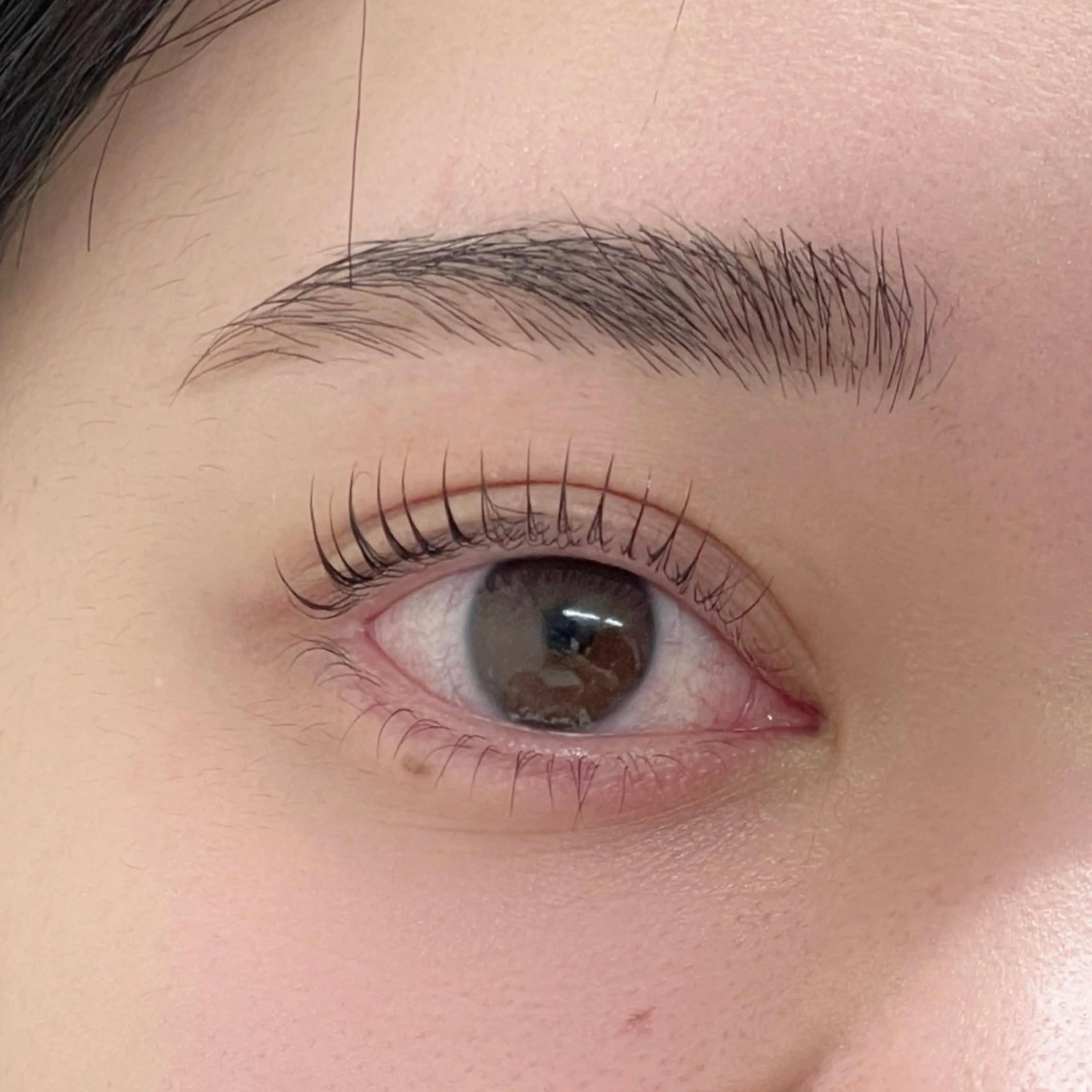 マツエク・マツパ マツパ GO TODAY シェアサロン 銀座Eclara店所属・mihiro 🐈‍⬛の眉毛・アイブロウイメージ