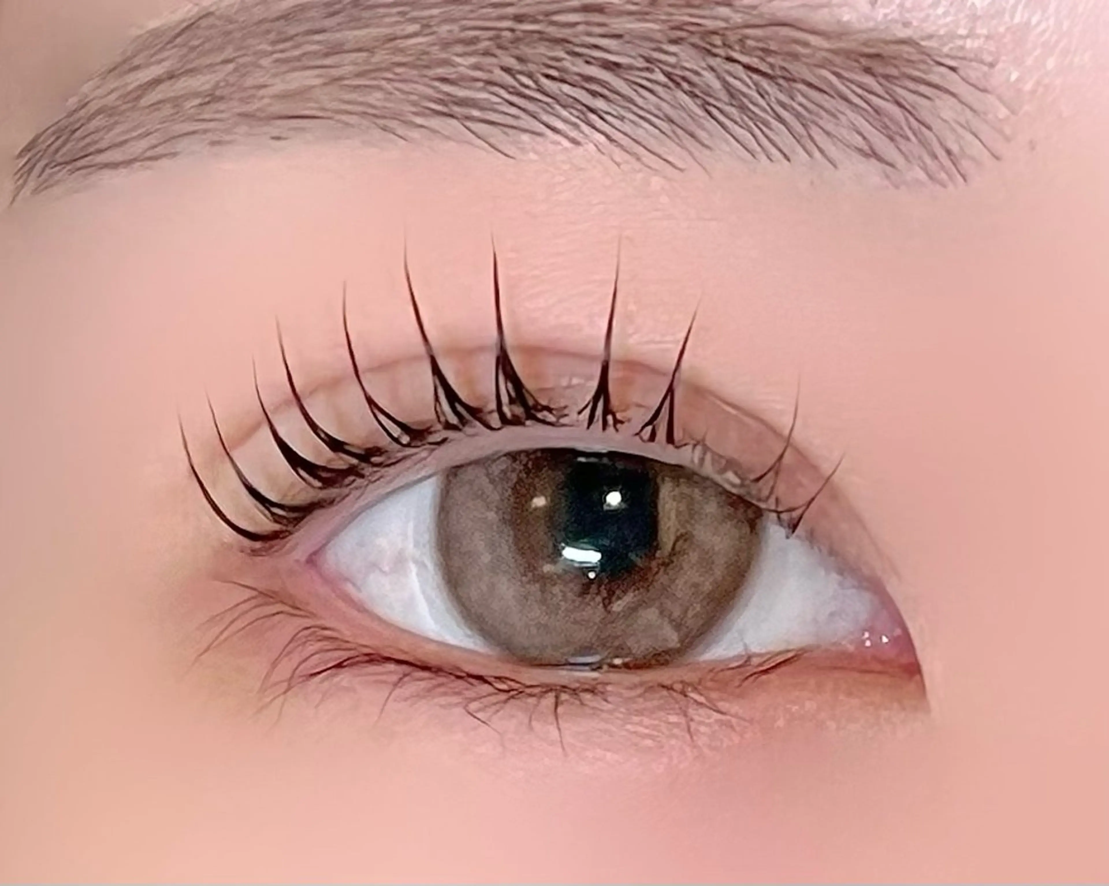 【新規限定価格】🇫🇷パリジェンヌラッシュリフト🇫🇷の写真