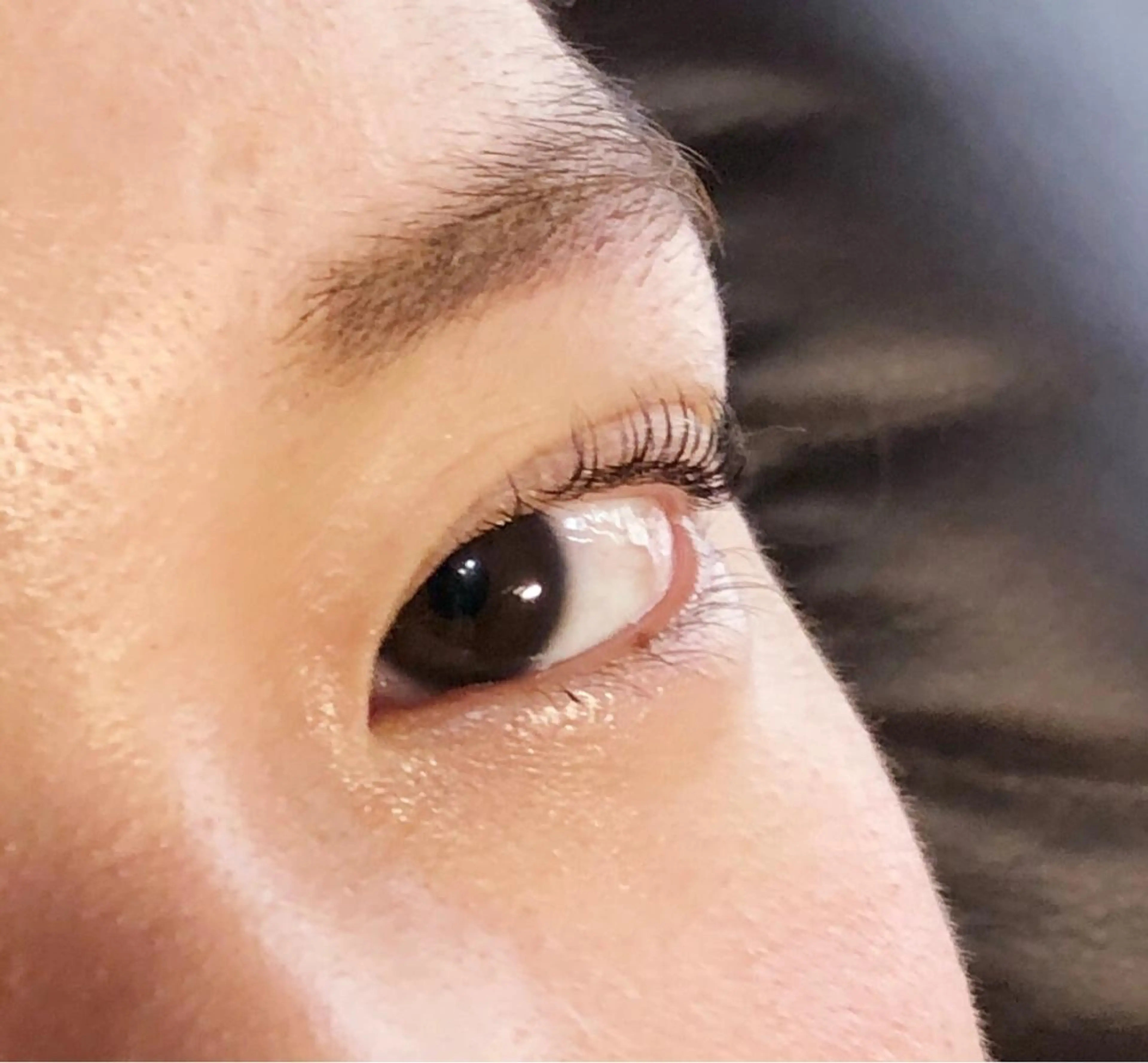 マツエク・マツパ Rabbit hagaのマツエク・マツパデザイン