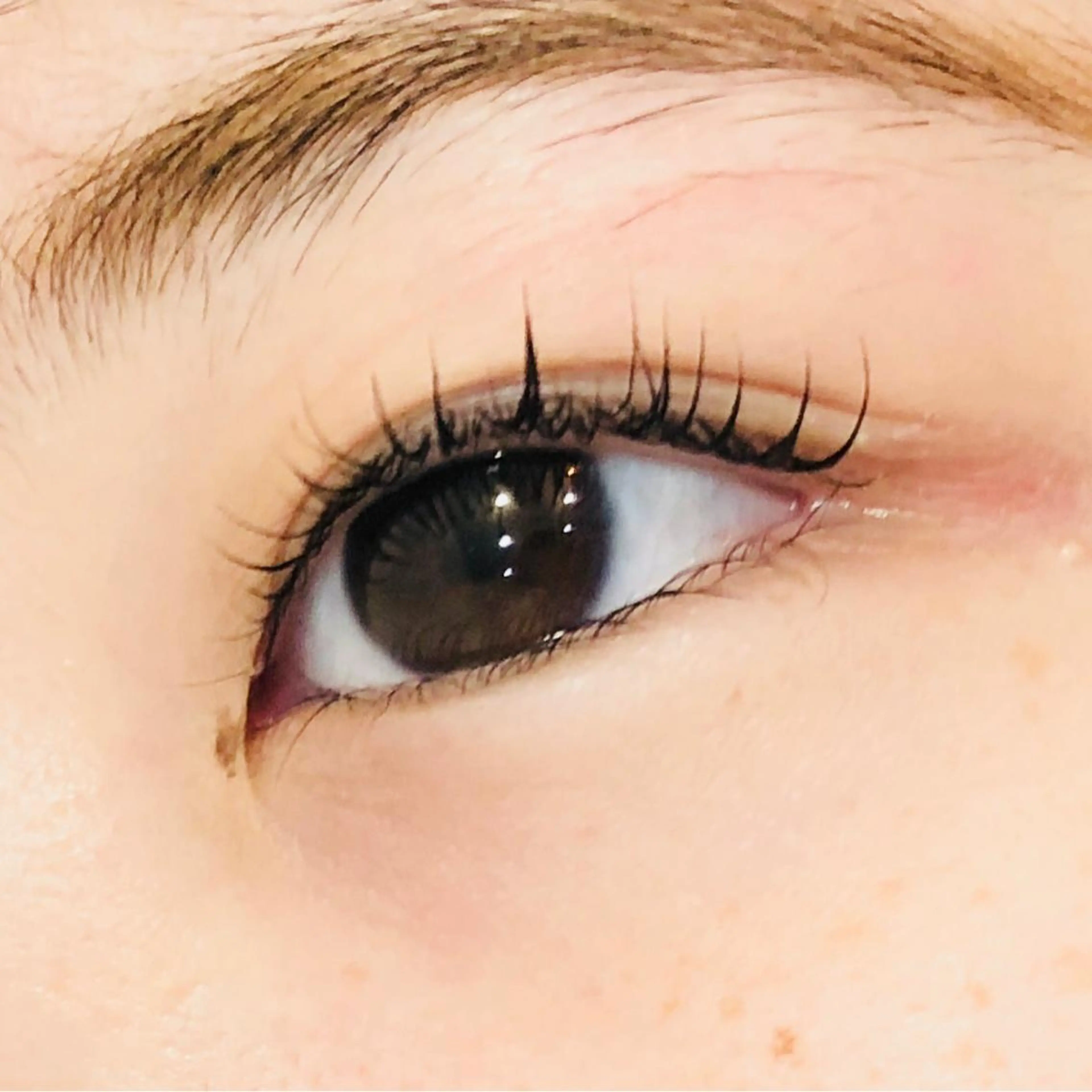 マツエク・マツパ まつげパーマ S Sの眉毛・アイブロウイメージ