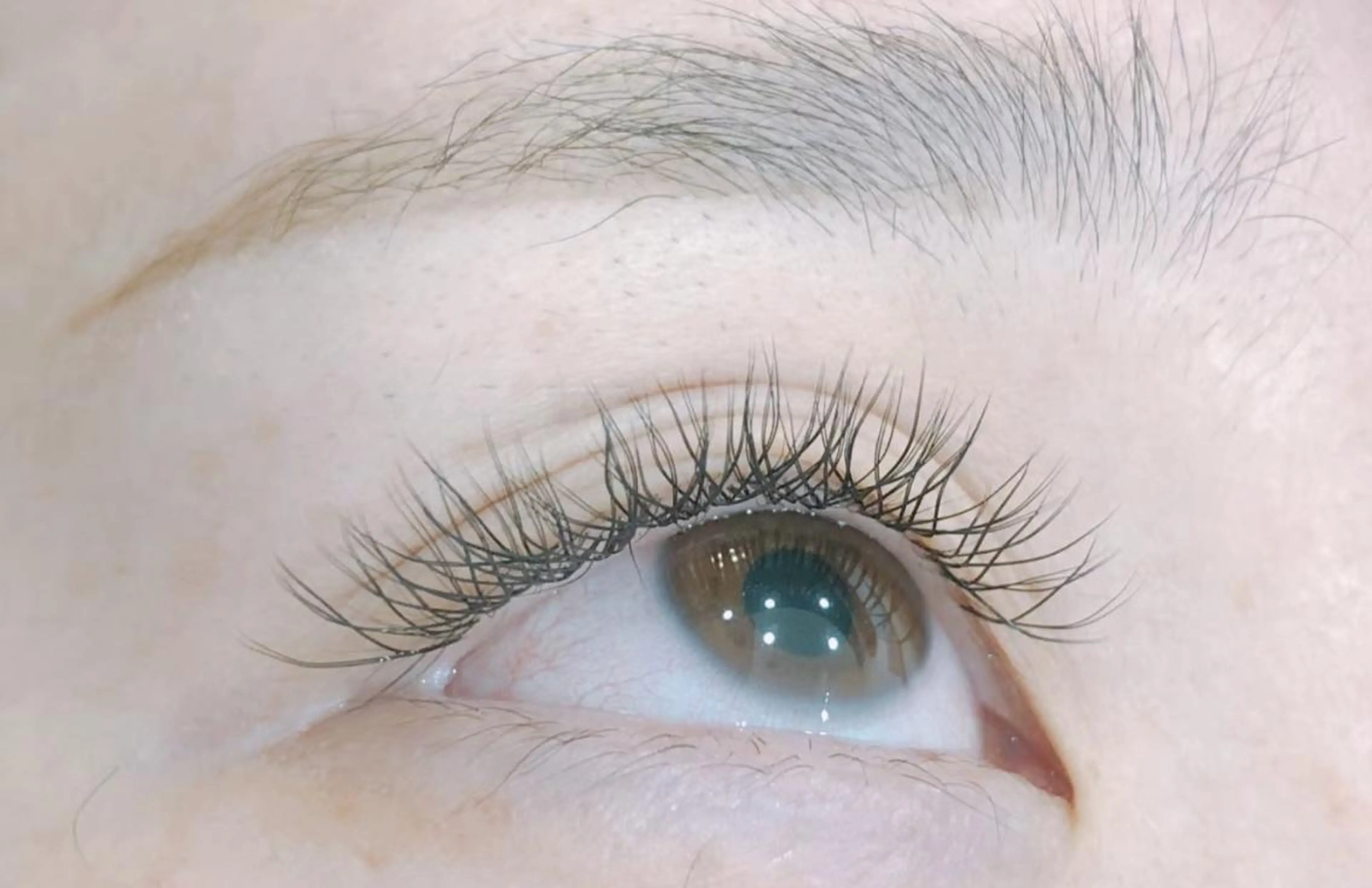 マツエク・マツパ マツエク An beauty salon🎀のマツエク・マツパデザイン