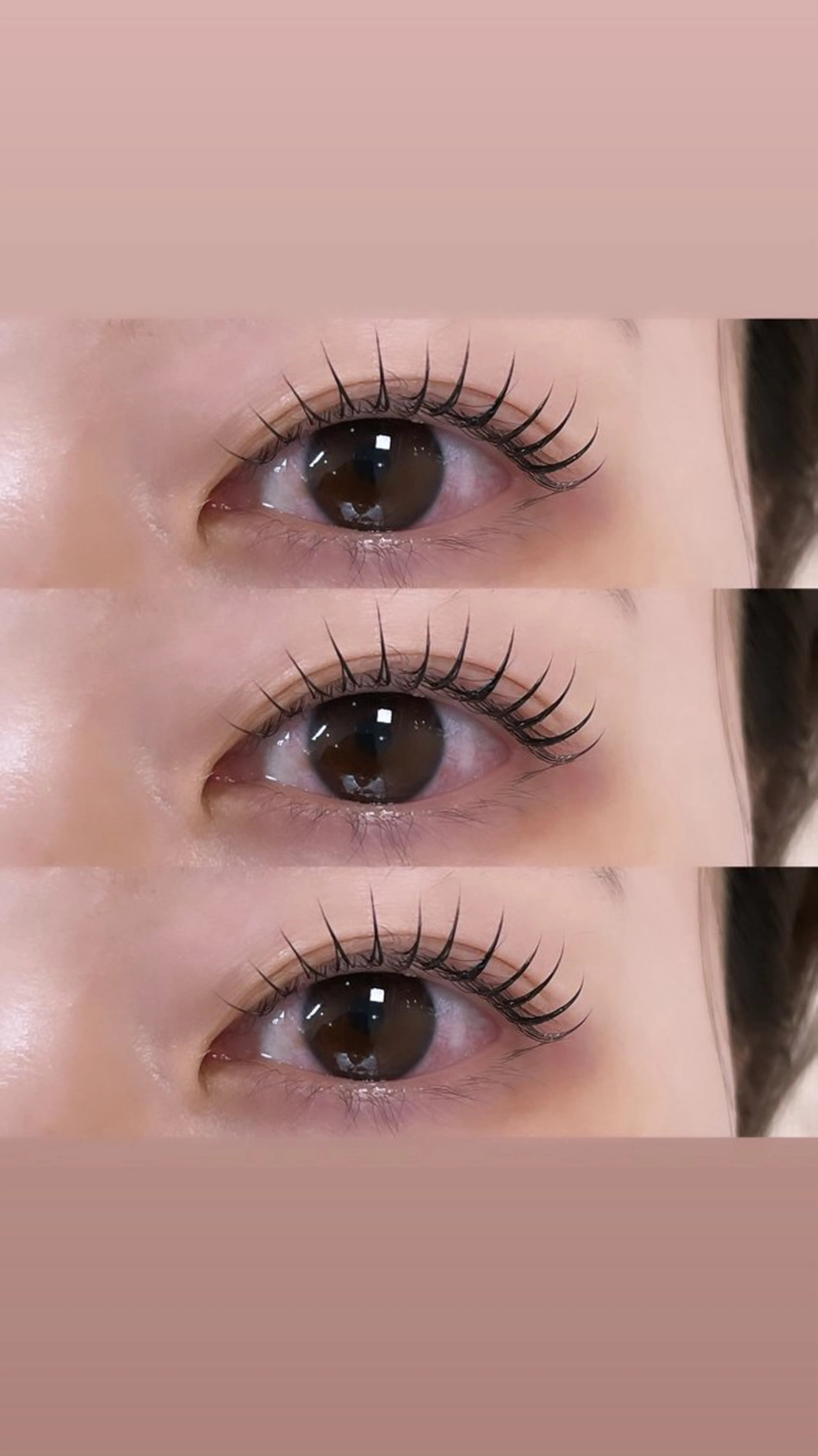 パリジェンヌラッシュリフト 🕊️🌿 オフなしの写真