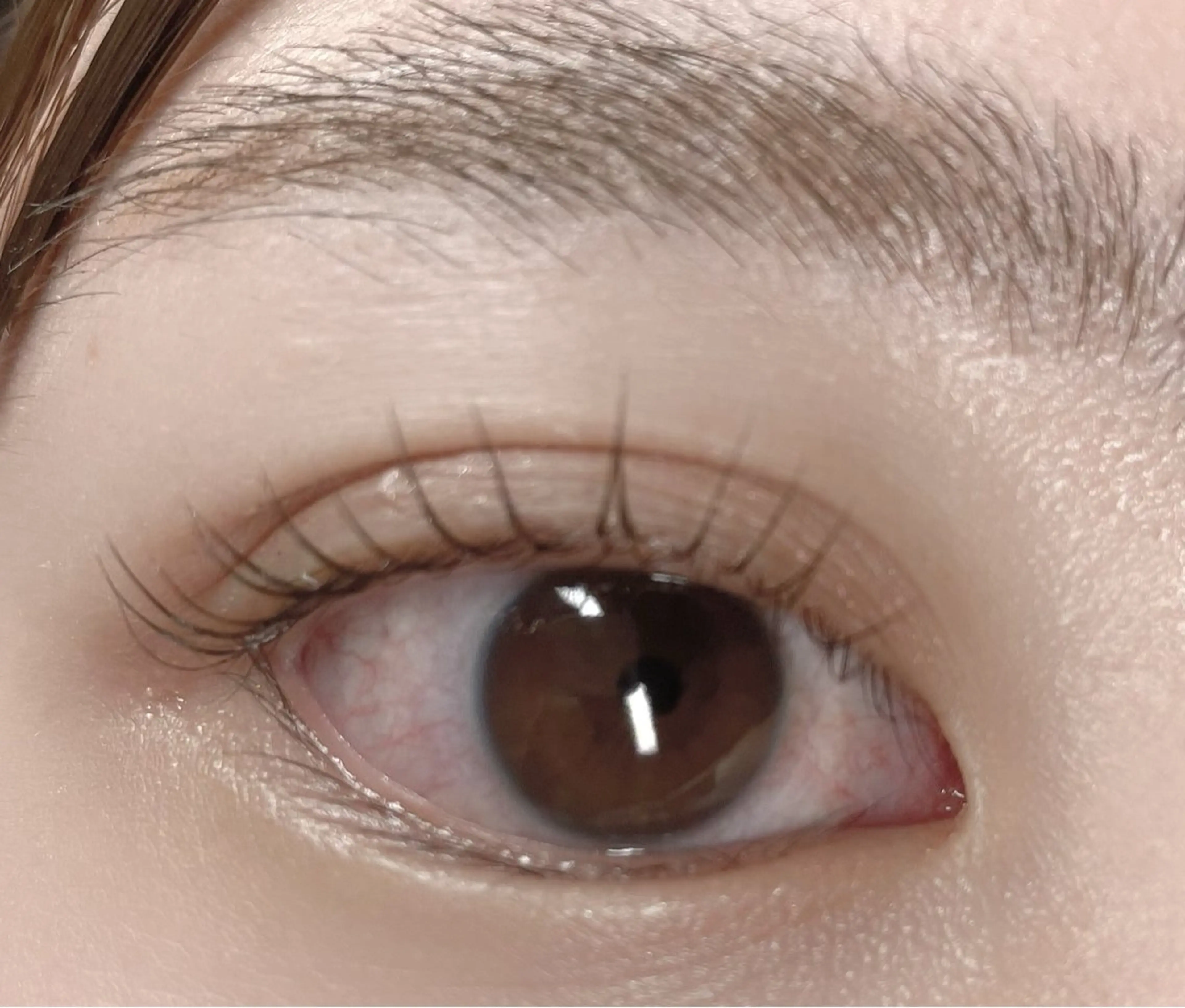 マツエク・マツパ マツパ 💙🐈 ayaのマツエク・マツパデザイン