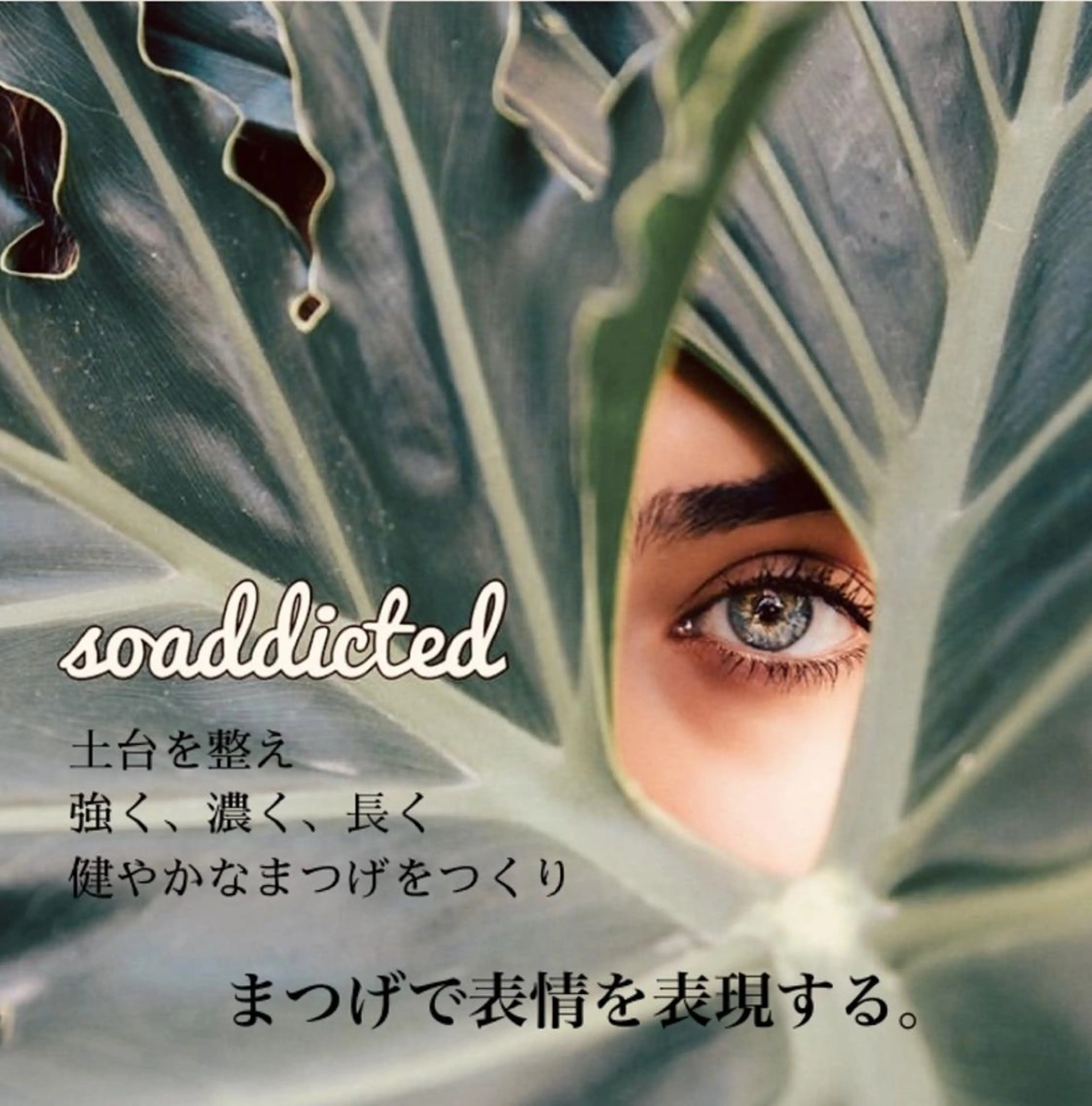 マツエク・マツパ sugiura sawakoのマツエク・マツパデザイン