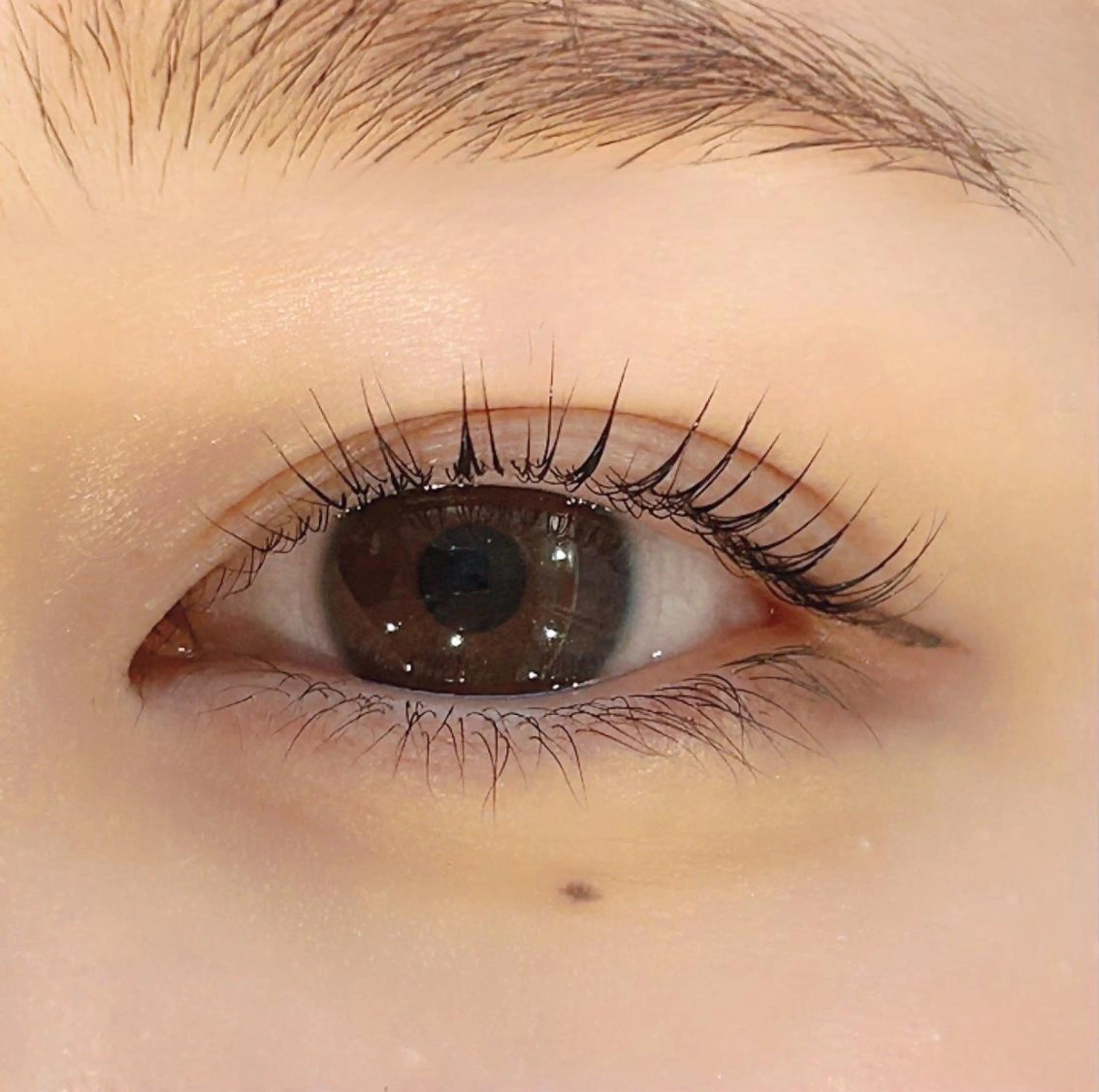 マツエク・マツパ 一重×まつ毛パーマ マツパ まつパ/束感マツエク 🧸suzunaのマツエク・マツパデザイン