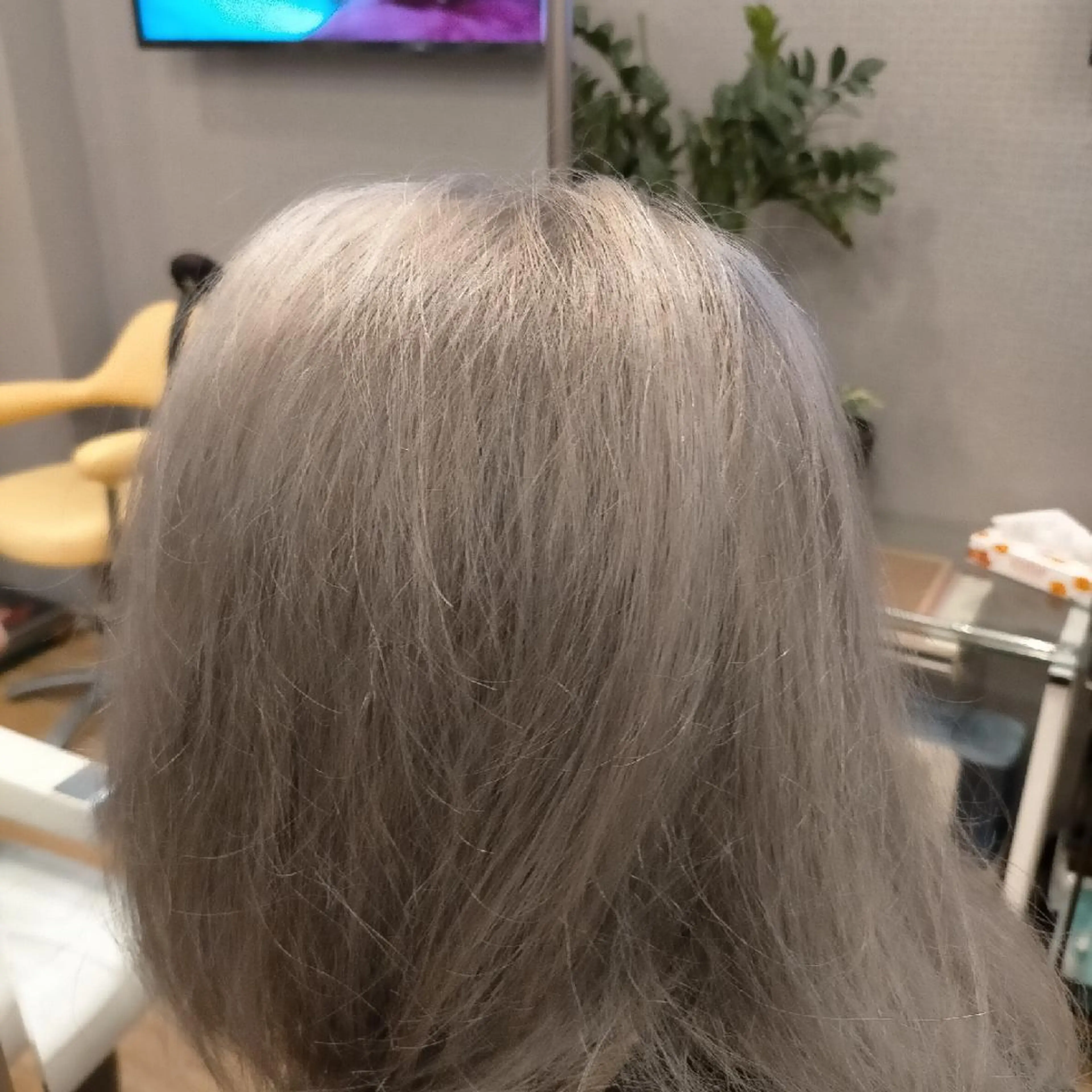 カラー ヘアー オレのヘアスタイル