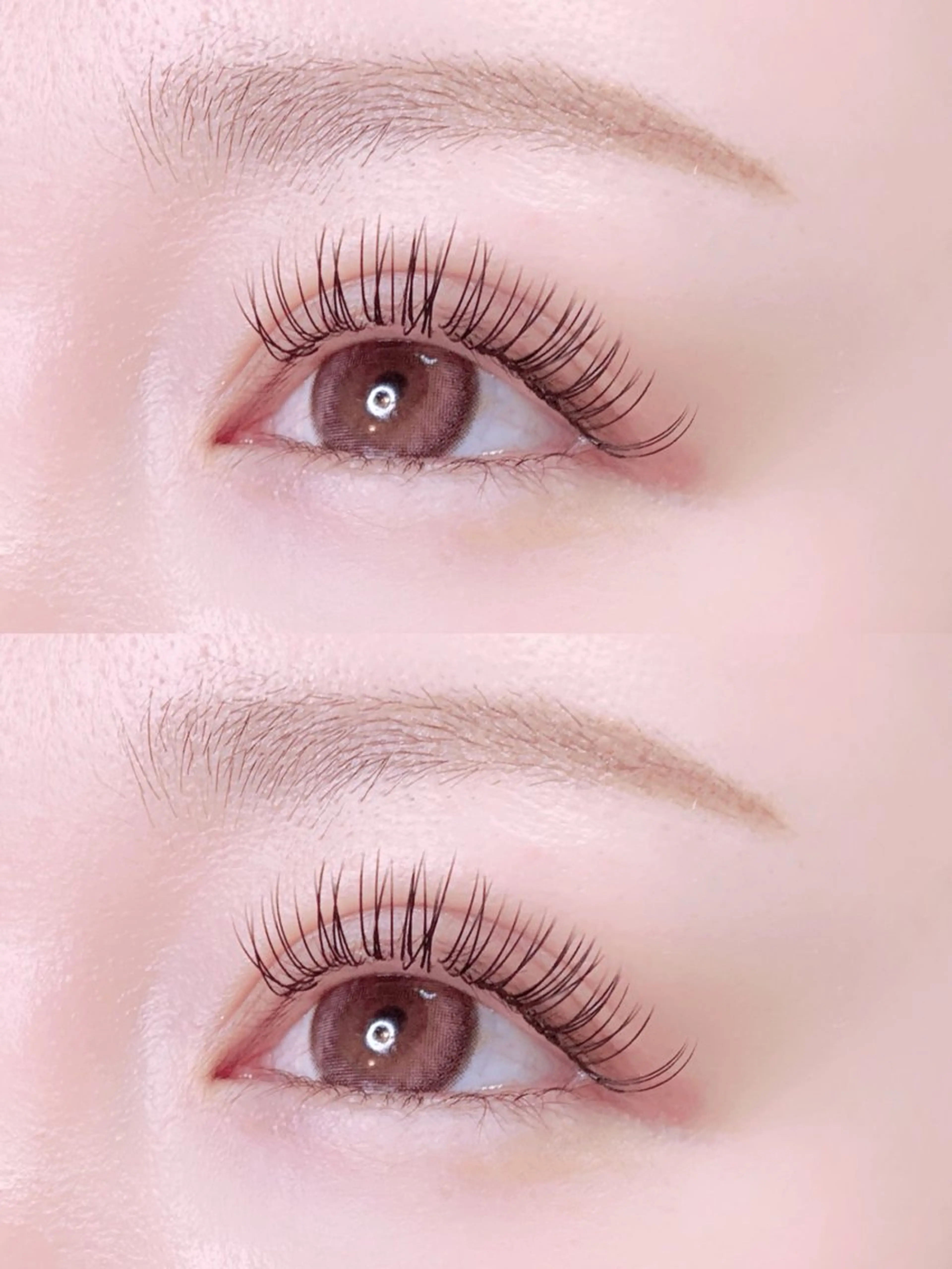 フラットラッシュ120本(ご新規様限定)の写真