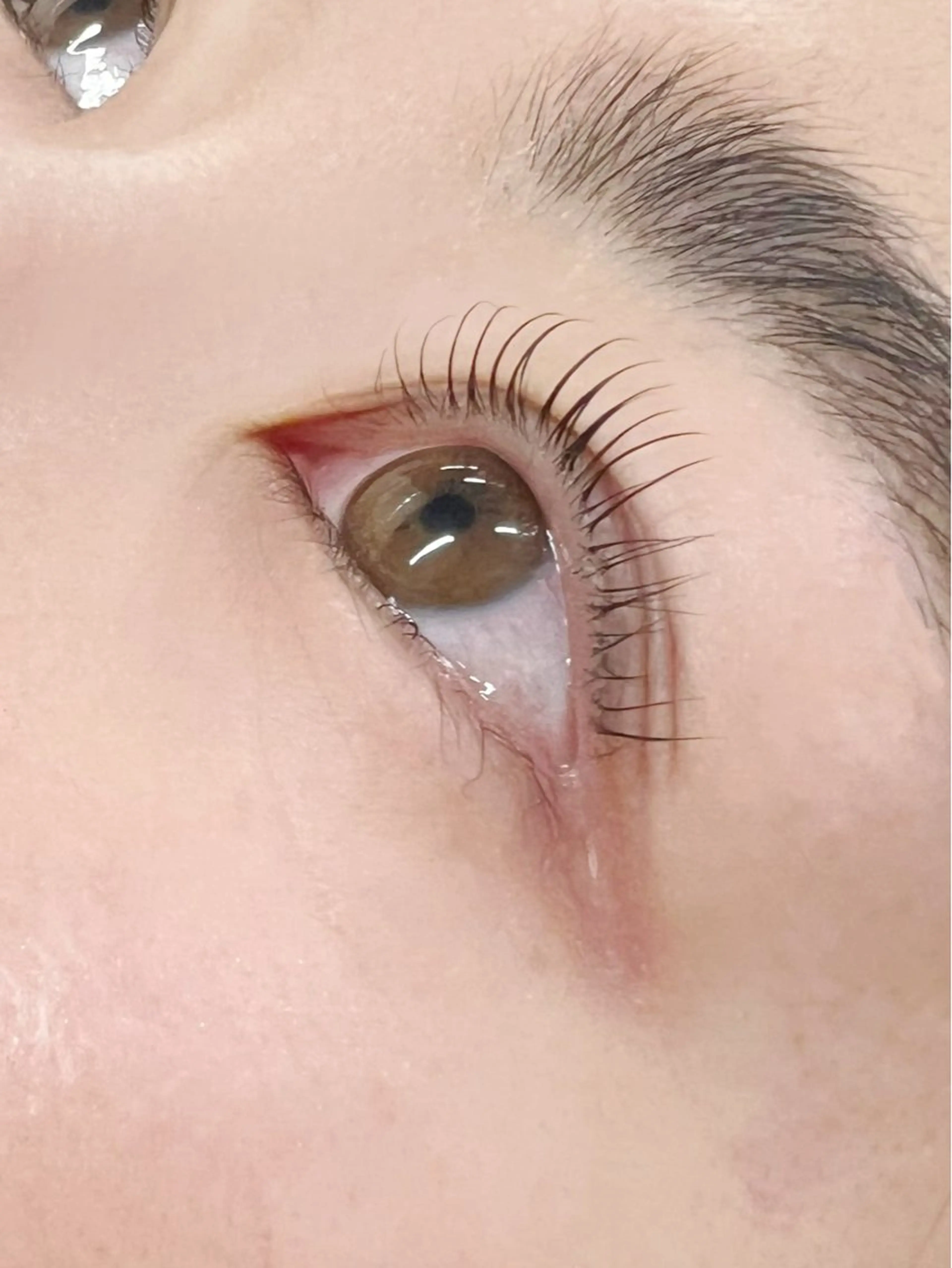 パーマ サクラブロウ 渋谷のマツエク・マツパデザイン