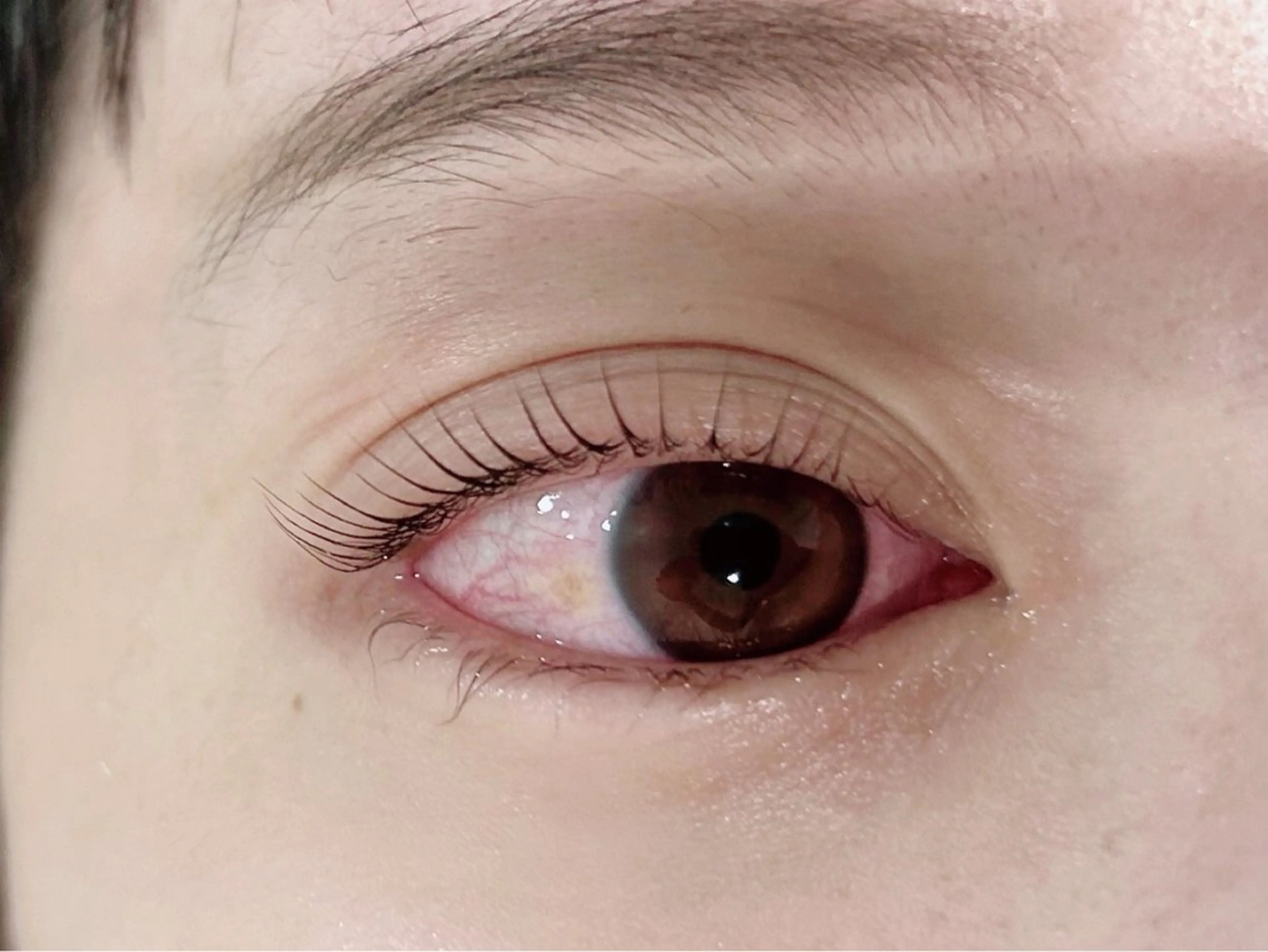 マツエク・マツパ Lily NAOMIのマツエク・マツパデザイン