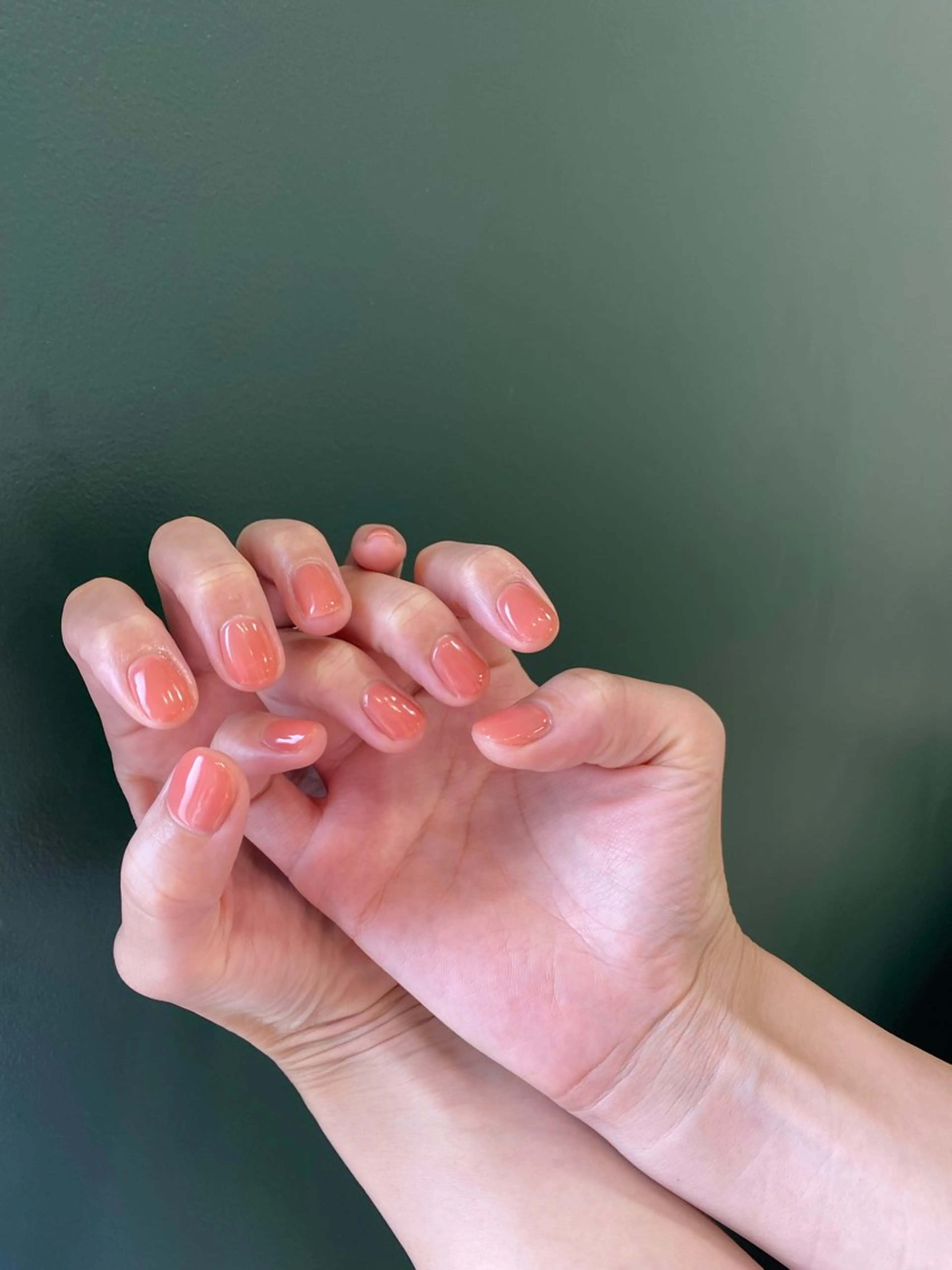 [ オフなし ] ワンカラー 🔗 （現在リクエストは承っておりません）の写真