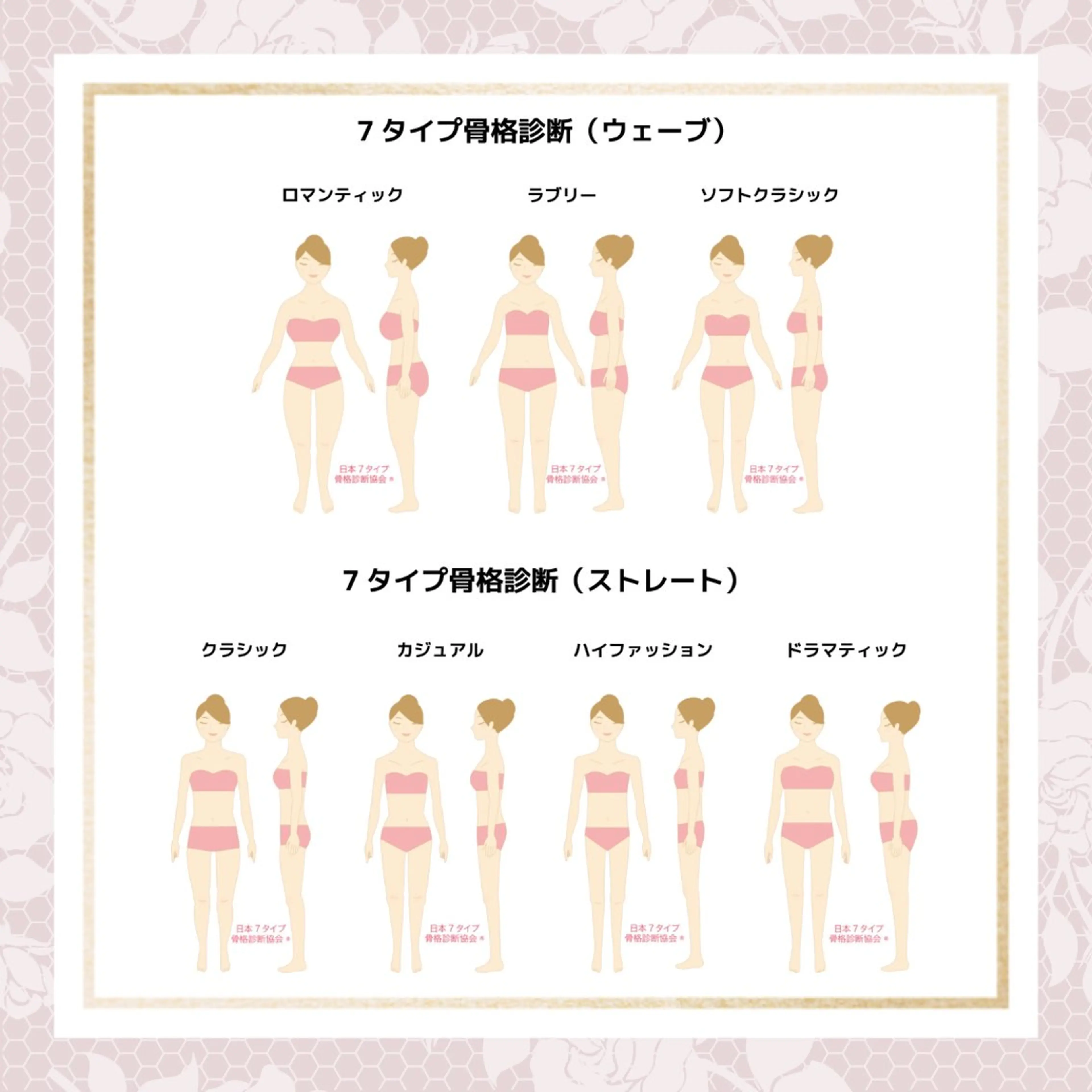 7タイプ骨格診断の写真