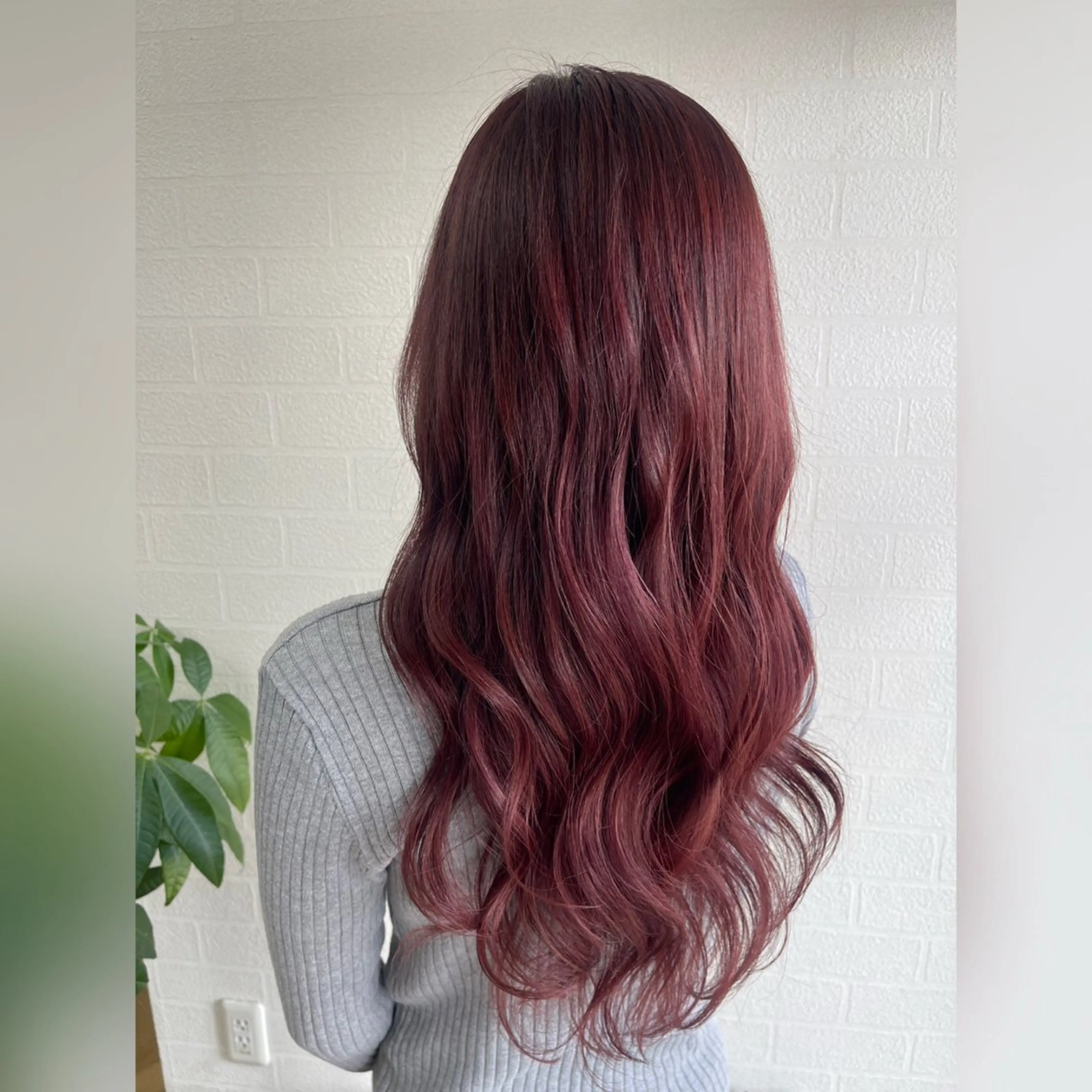 カラー×4stepTR  ￥8000⛱️の写真