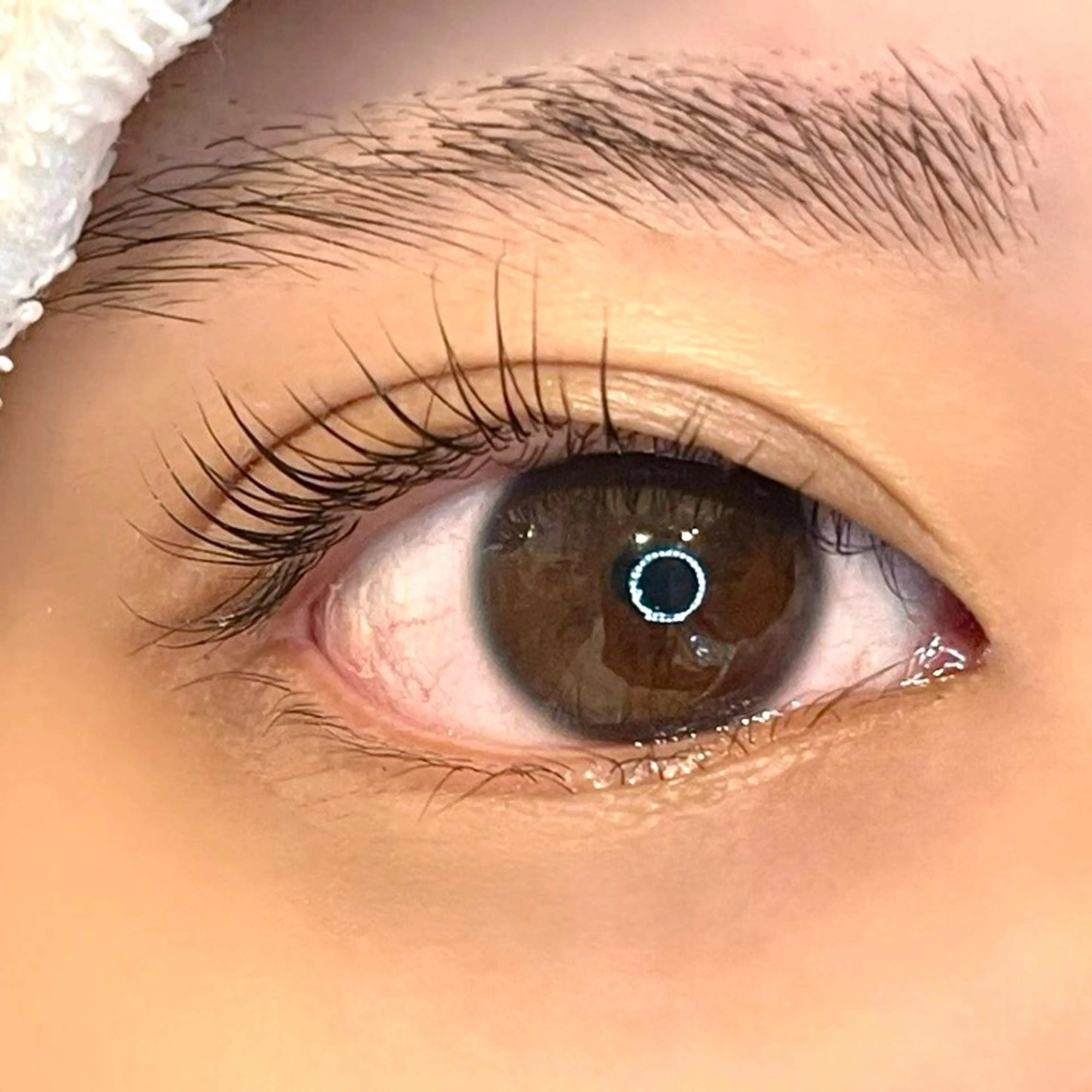 マツエク・マツパ メゾンドシャルム NISHIKAWAのマツエク・マツパデザイン