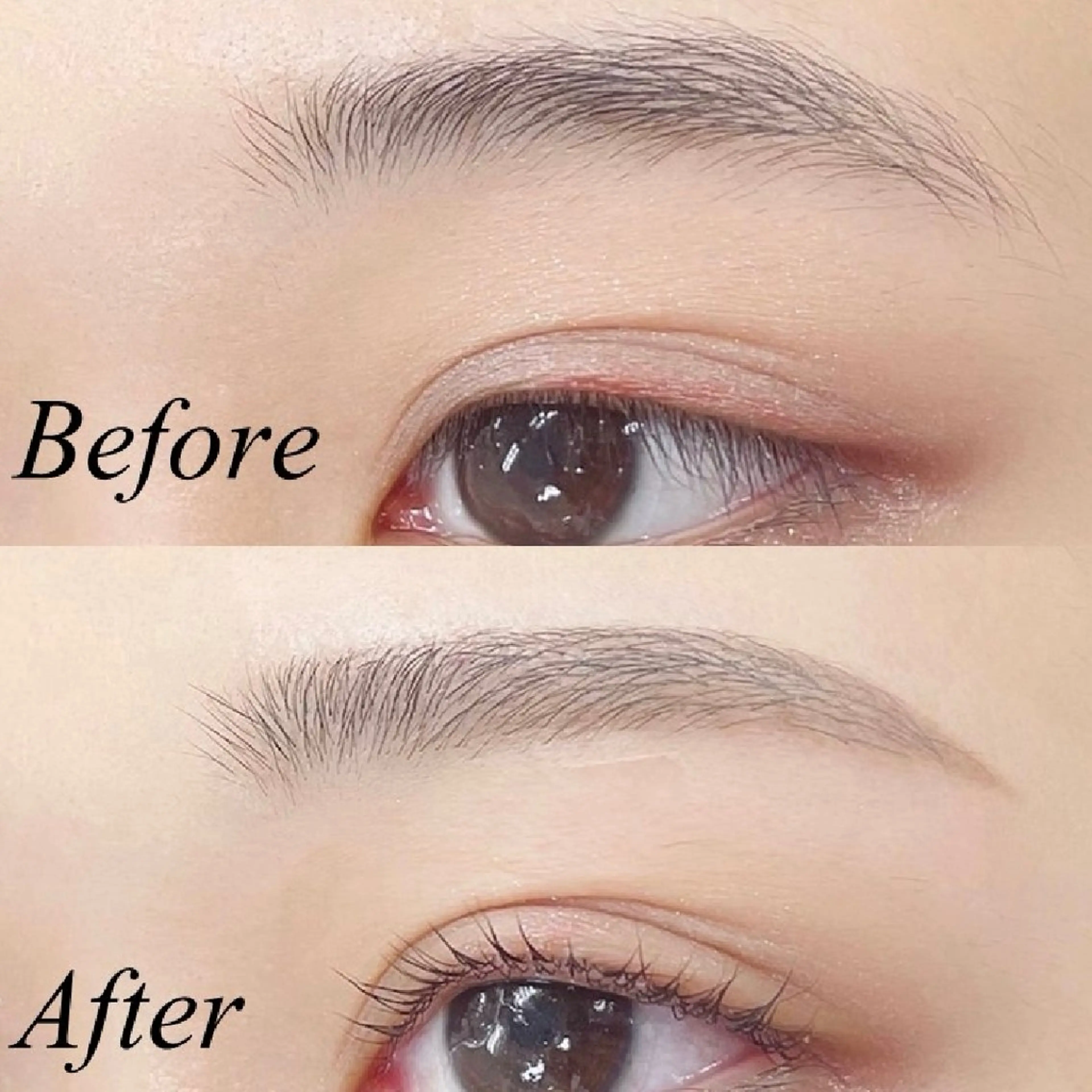 学割U24🎓《持続力⭐️》美眉アイブロウWAX＋ハリウッドブロウリフト ¥4900の写真