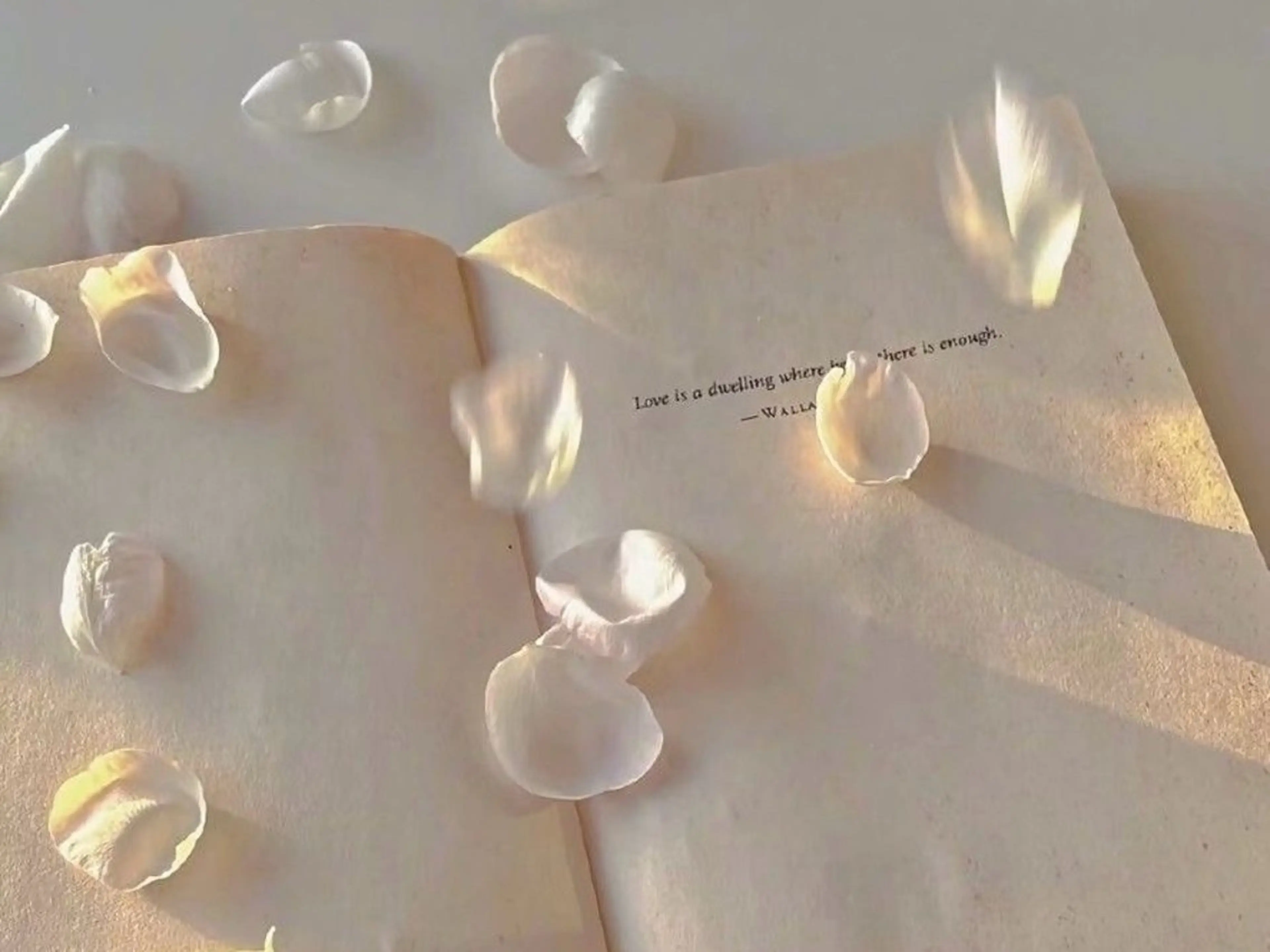 MASAKI KOKOROのマツエク・マツパデザイン