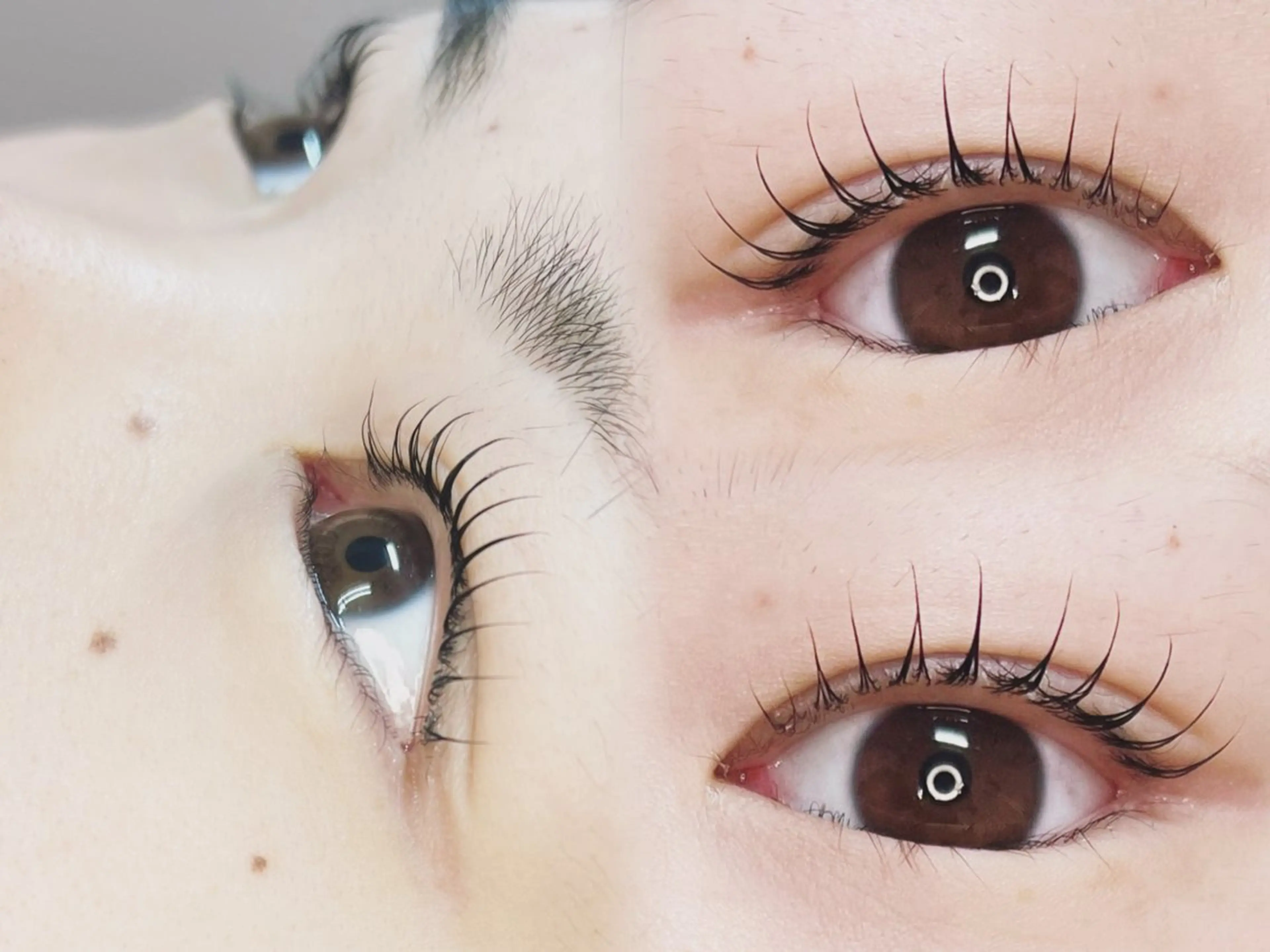 マツエク・マツパ マツパ lepo 川越 arisaのマツエク・マツパデザイン