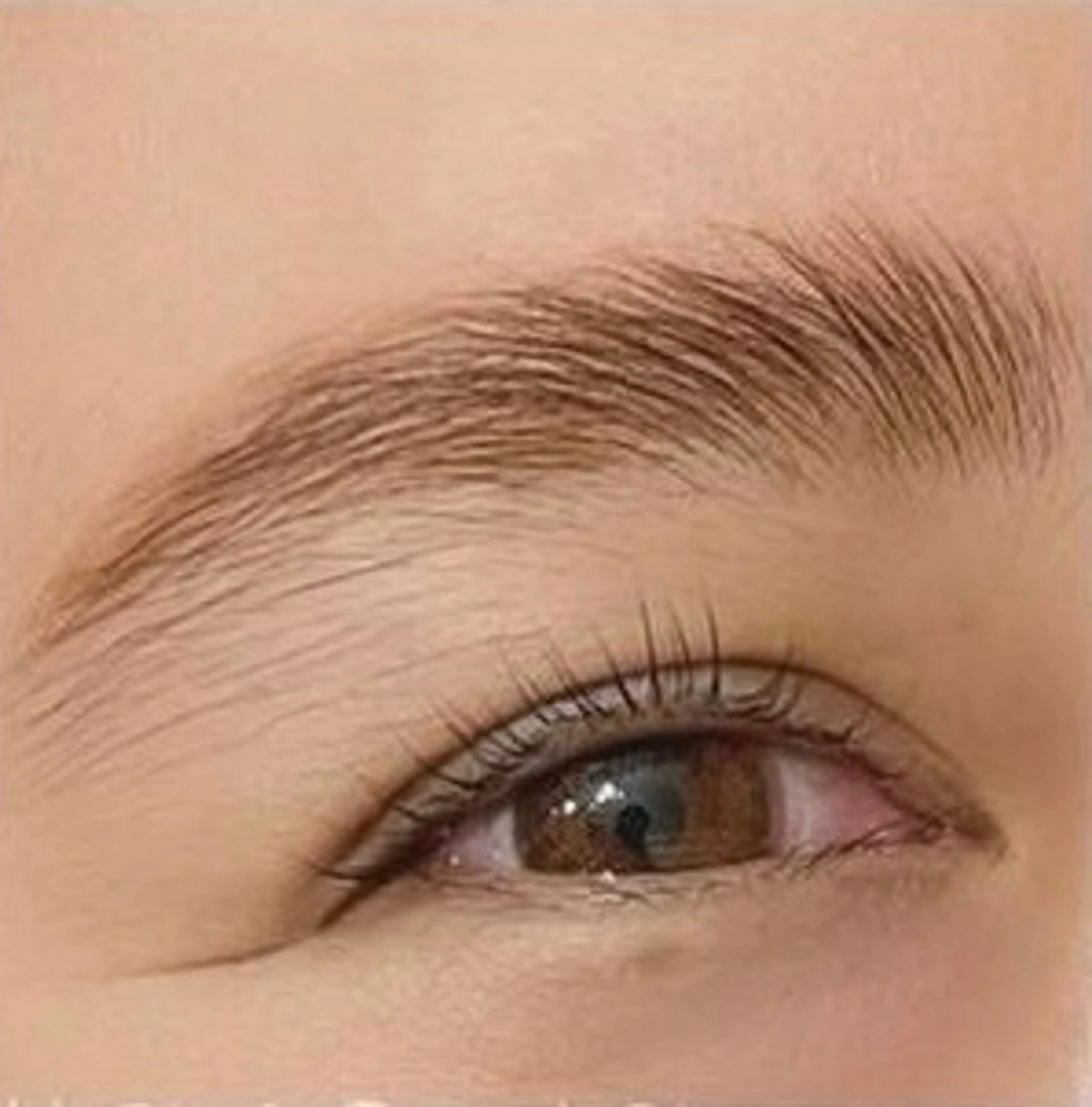 アイブロウ ワックス脱毛 その他(アイブロウ) 海外風まつげ眉毛 恵比寿｜masayoのマツエク・マツパデザイン