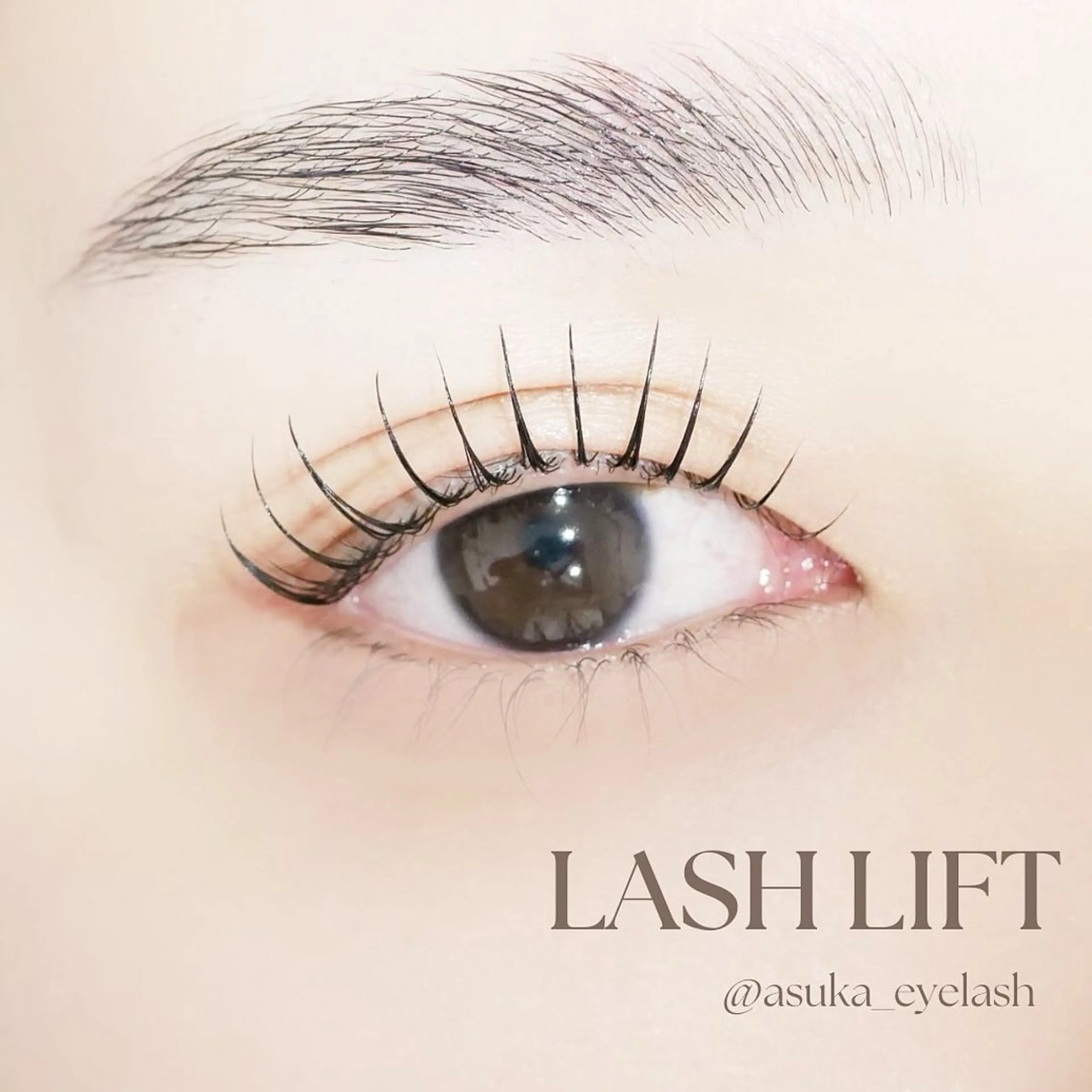 マツエク・マツパ asuka 𖥸 アイブロウ🦊🤎の眉毛・アイブロウイメージ