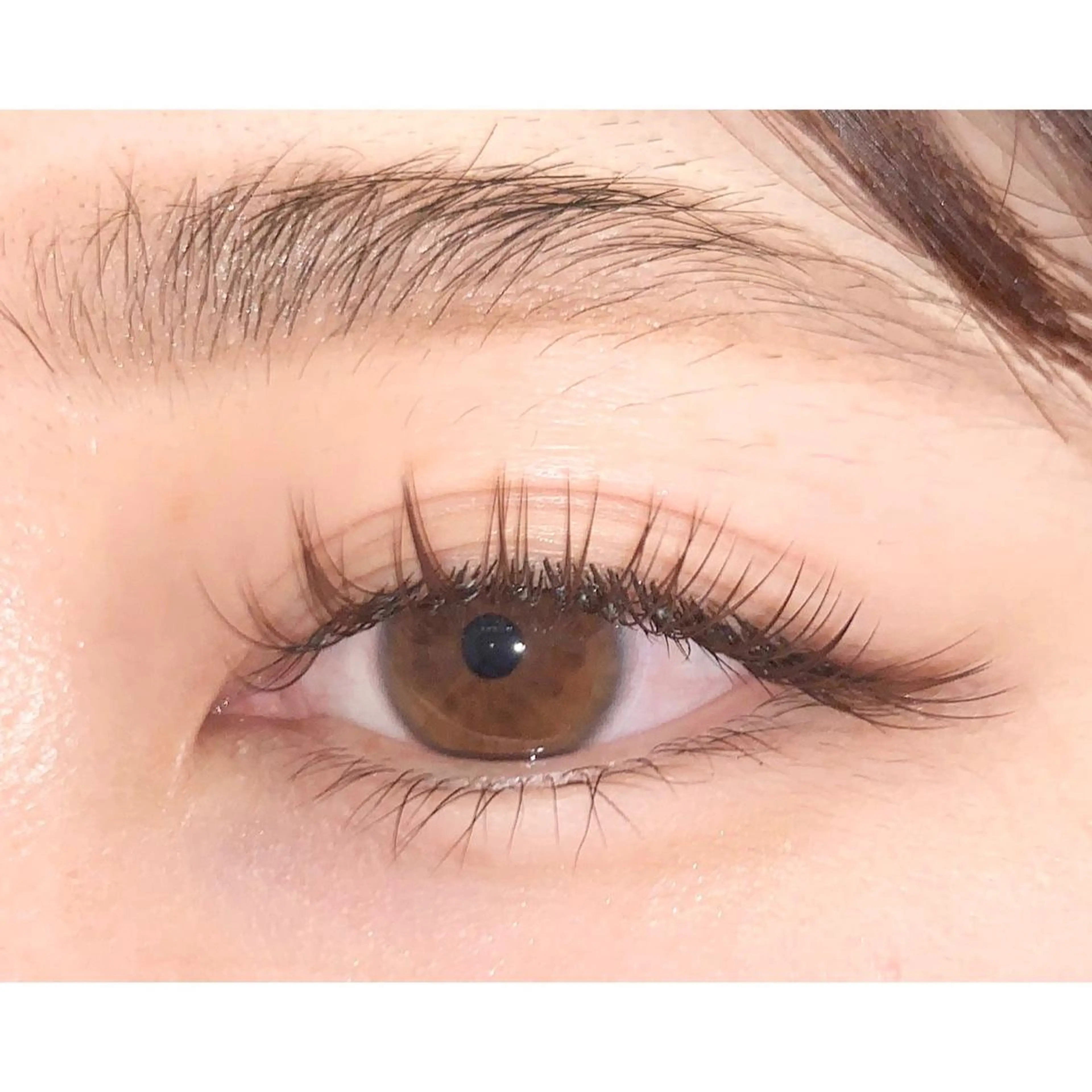 マツエク・マツパ étora新宿 まつげ/眉毛のマツエク・マツパデザイン