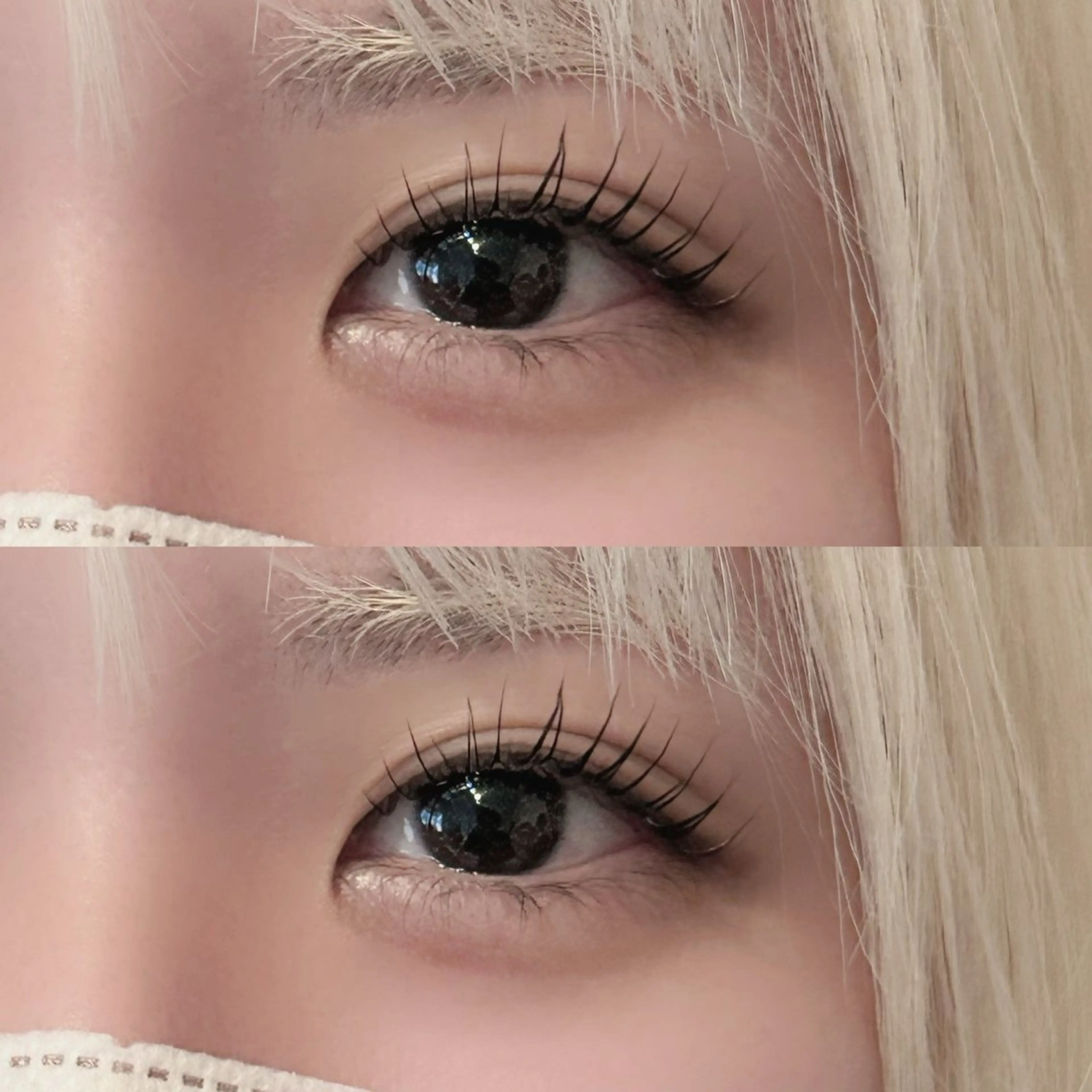 パリジェンヌラッシュリフト🎀の写真