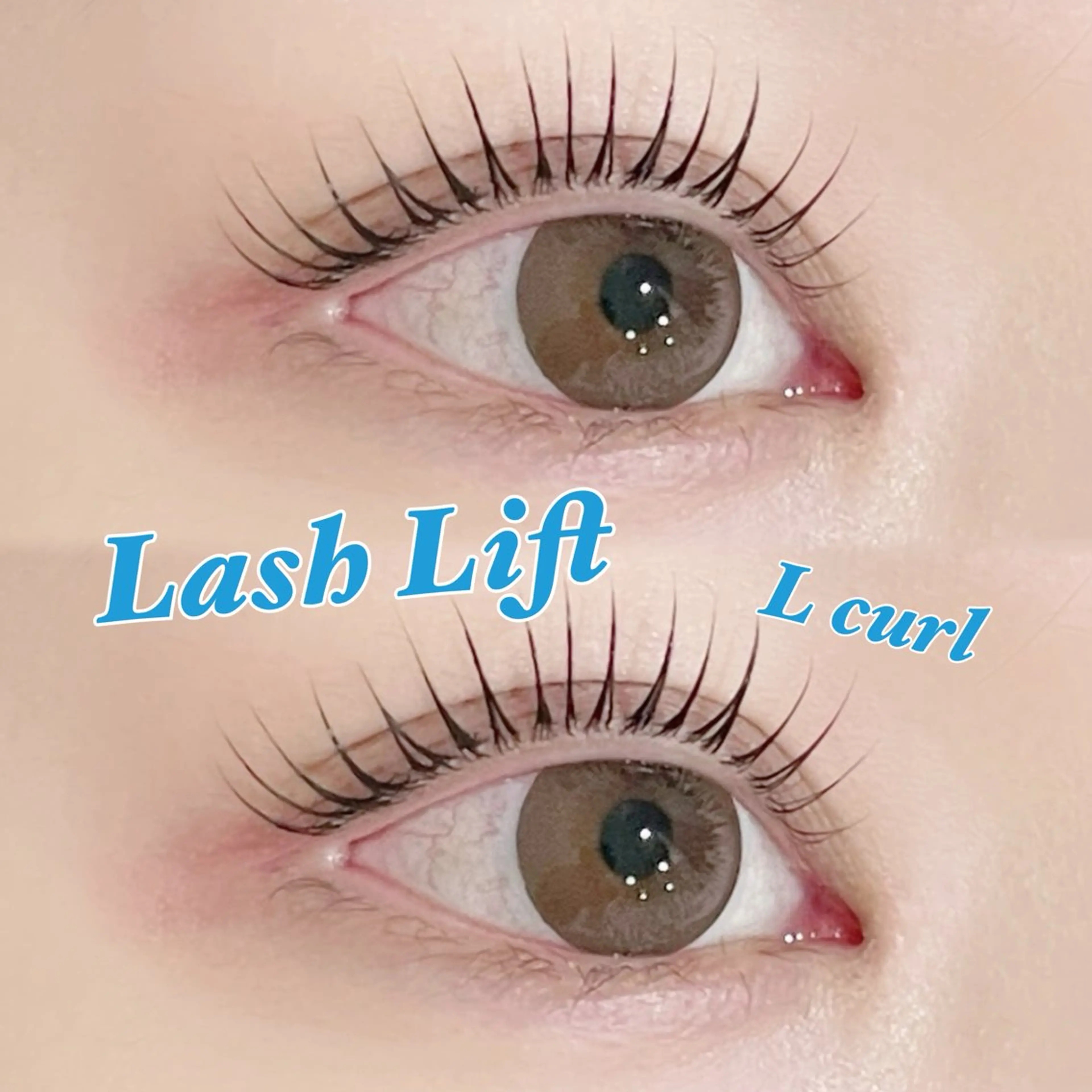 🆙期間限定🆙立ち上げデザイン〔L curlロッド〕🧸まつげパーマモデル【オフなし】の写真