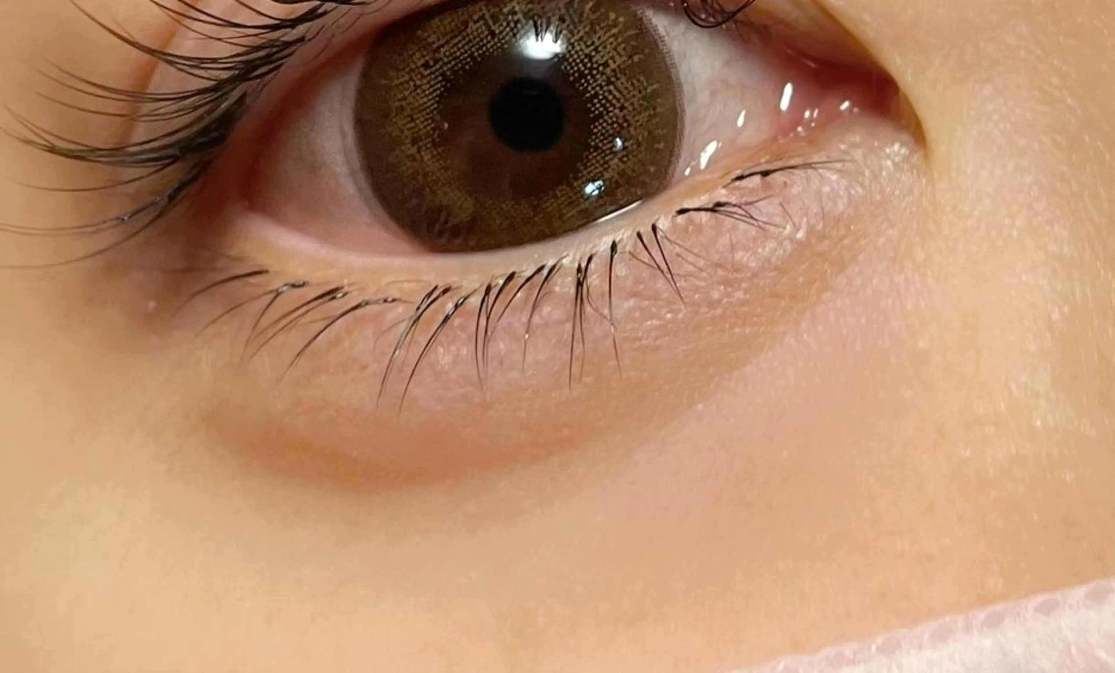 マツエク・マツパ Fleur フルールのマツエク・マツパデザイン