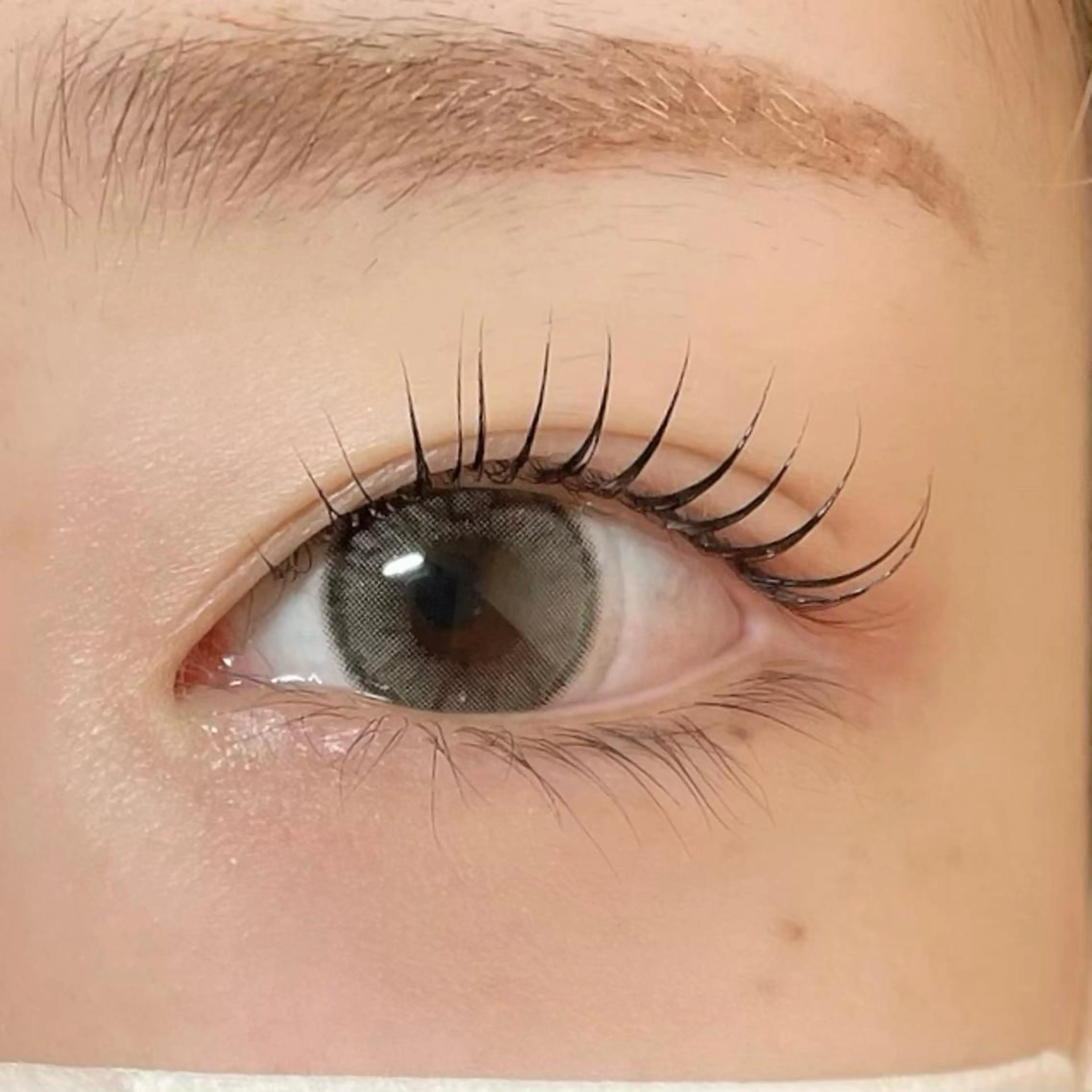 マツエク・マツパ マツパ まつげパーマ専門 YUKIのマツエク・マツパデザイン