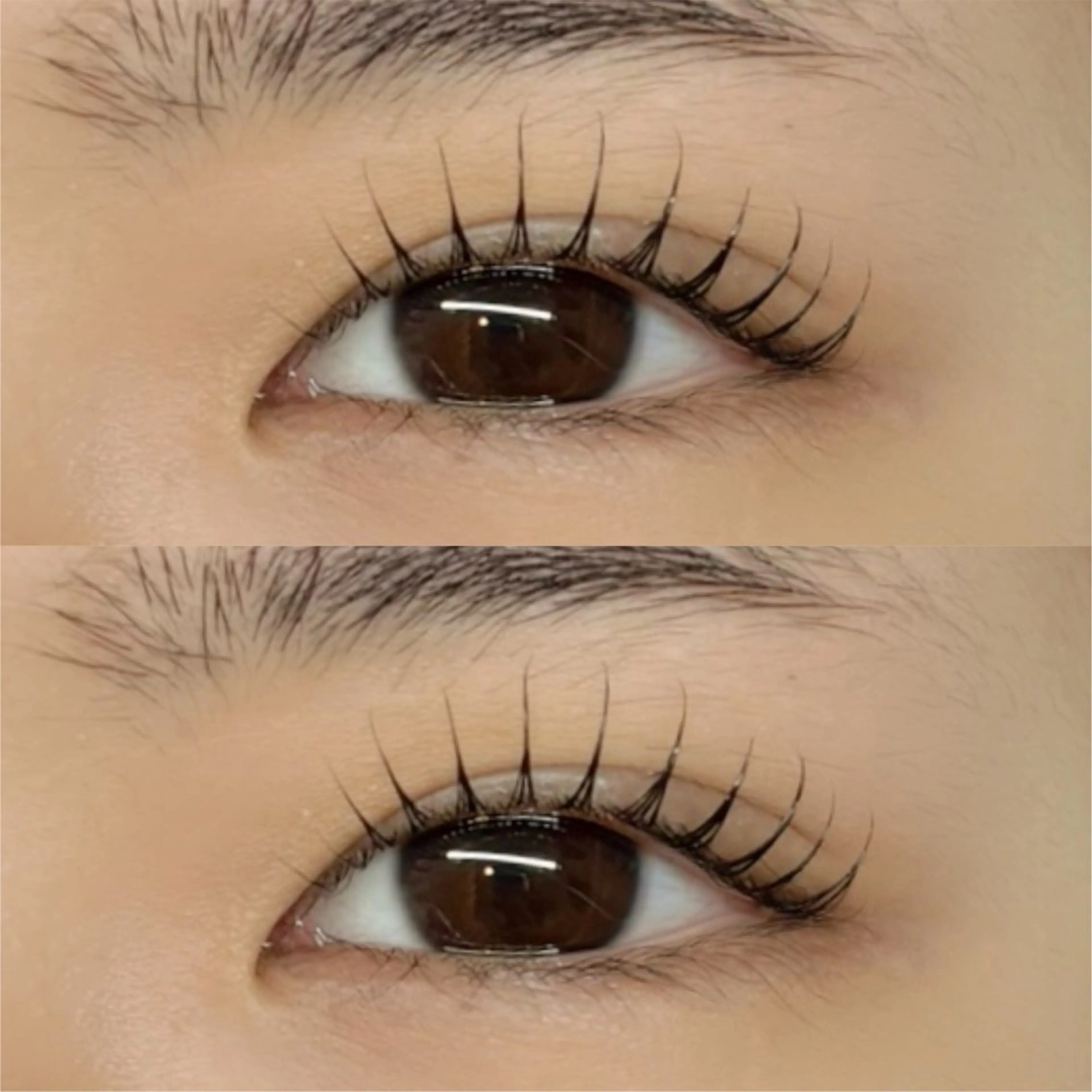 マツエク・マツパ natsumi 【alice天神店】のマツエク・マツパデザイン