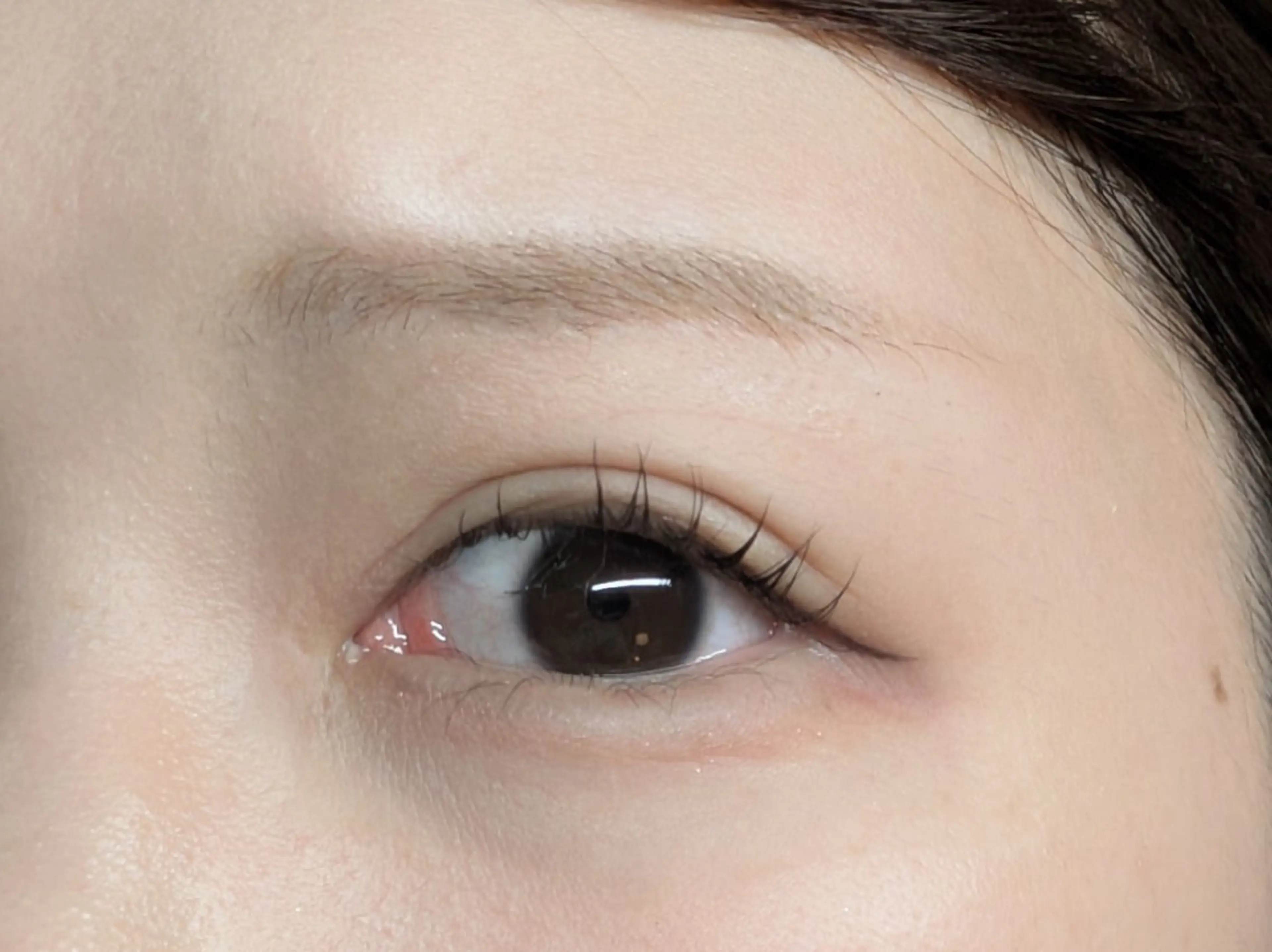 マツエク・マツパ まつげパーマ Sun Brown Ryu-gaのマツエク・マツパデザイン