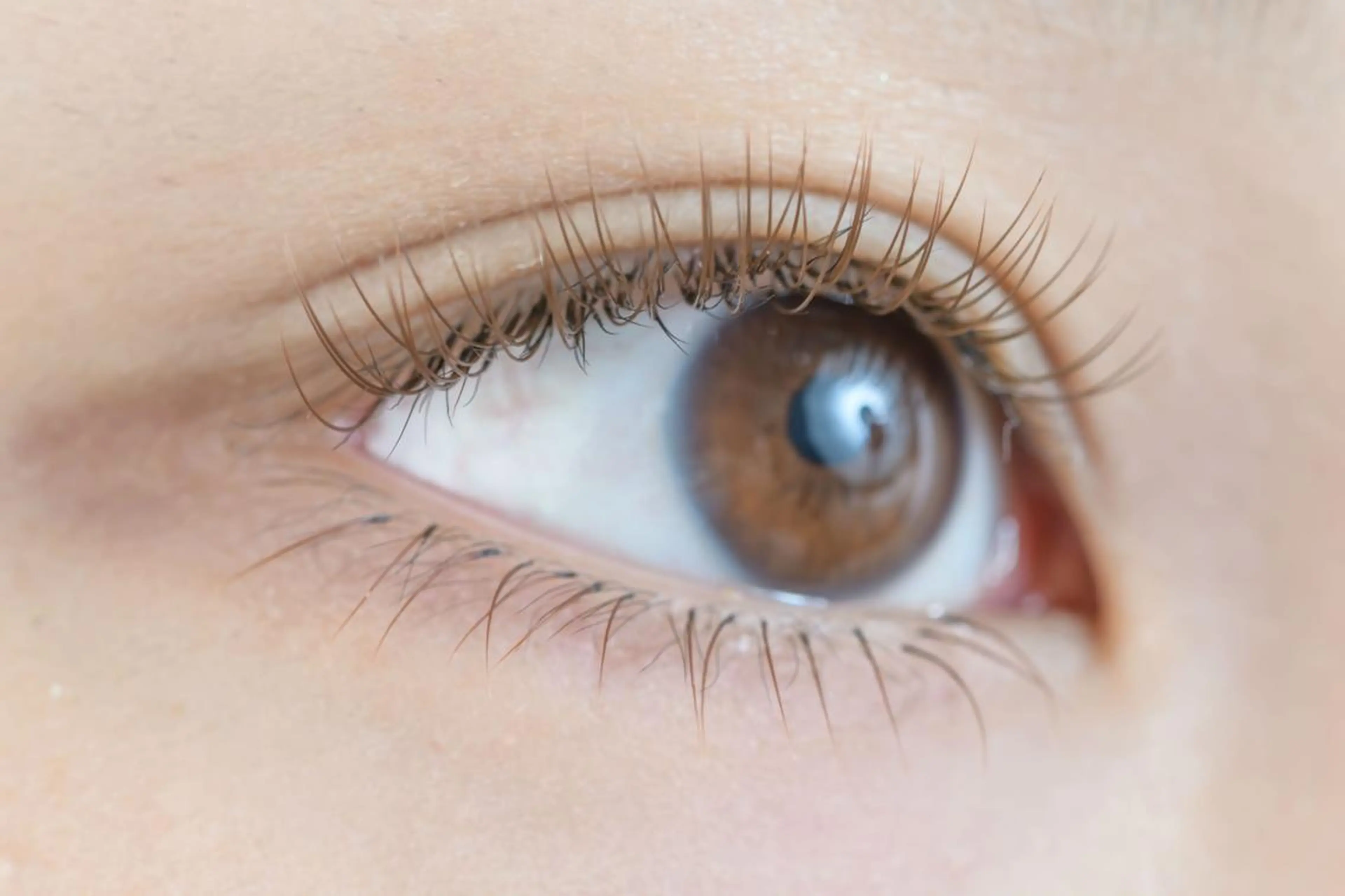 マツエク・マツパ カラーマツエク アイサロン フェア 海老名店のマツエク・マツパデザイン