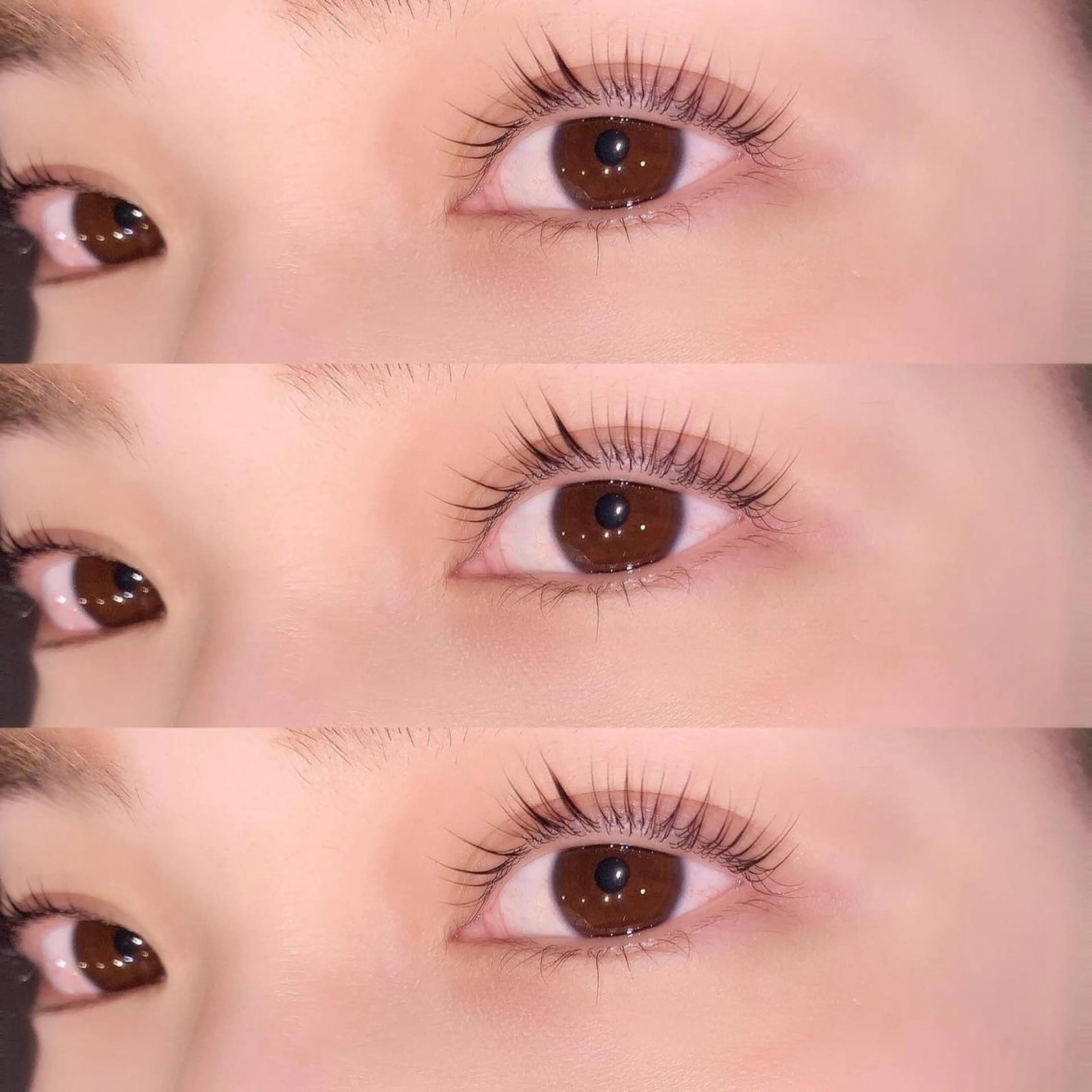 パリジェンヌラッシュリフト🍋美容成分配合コーティング仕上げの写真