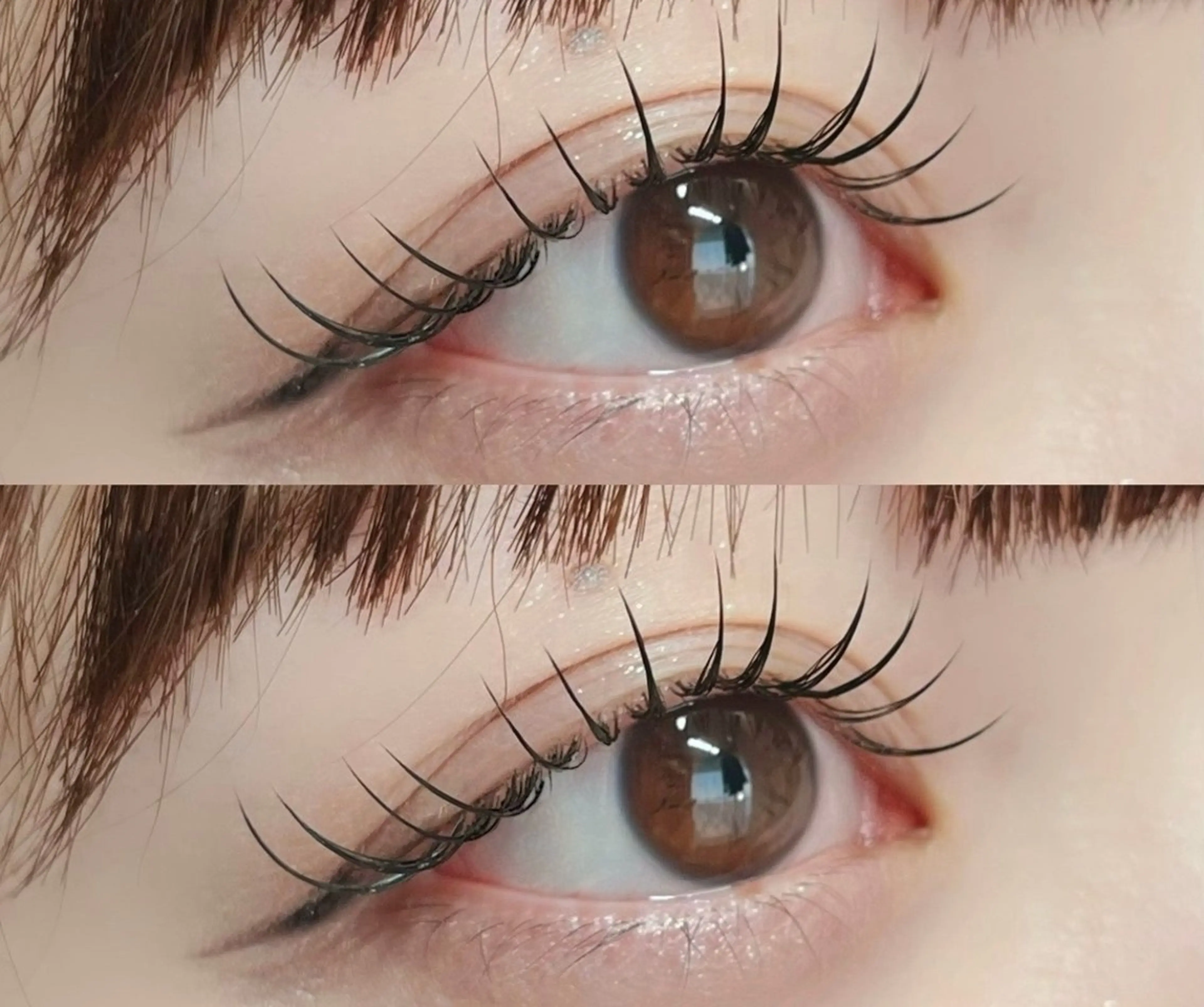 マツエク・マツパ マツエク ♥️Ji Ji♥️のマツエク・マツパデザイン