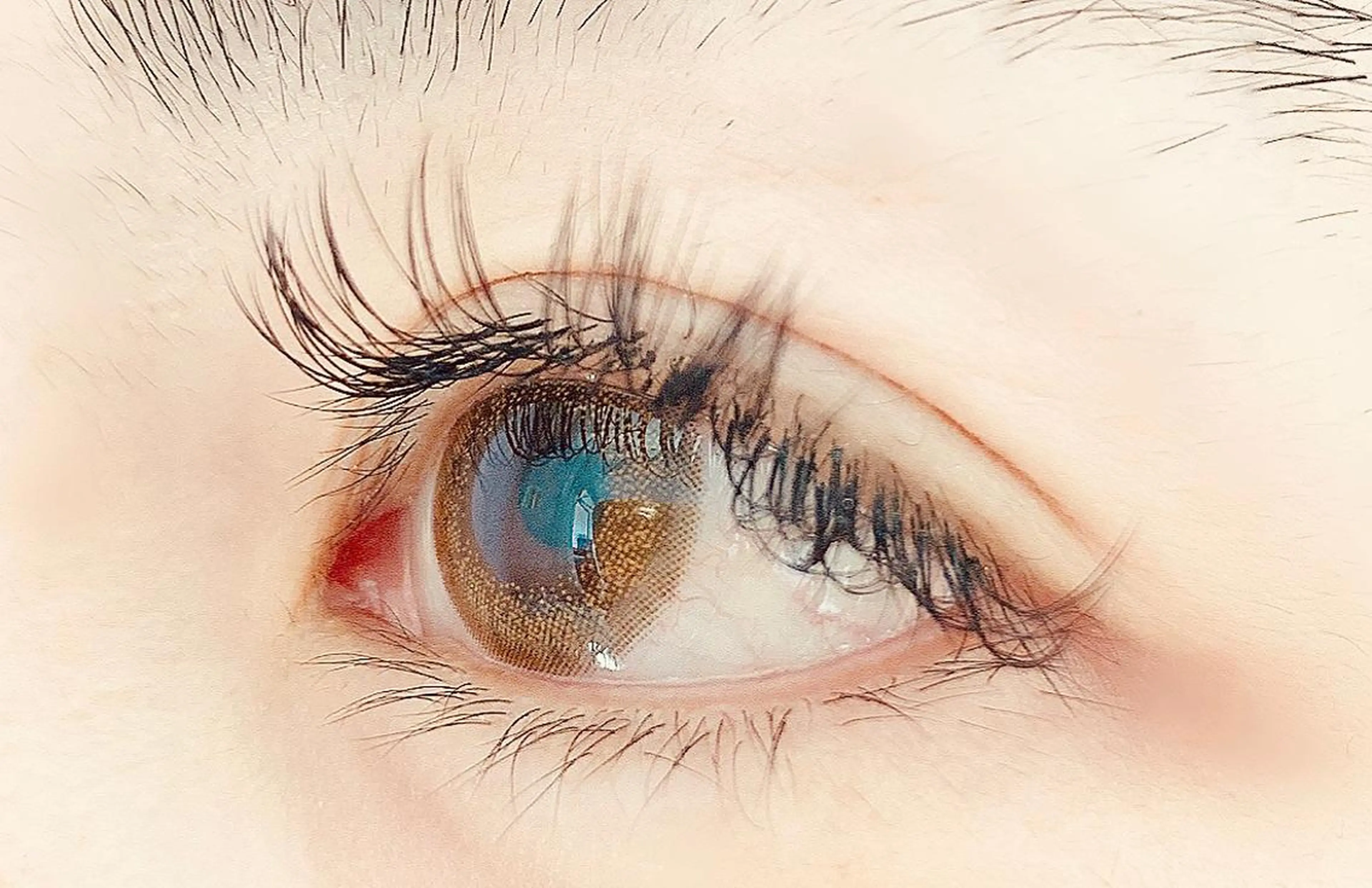 ใใใจใฏใปใใใ ใใใจใฏ ๐๐๐๐๐ ๐๐๐๐ใฎใใใจใฏใปใใใใใถใคใณ