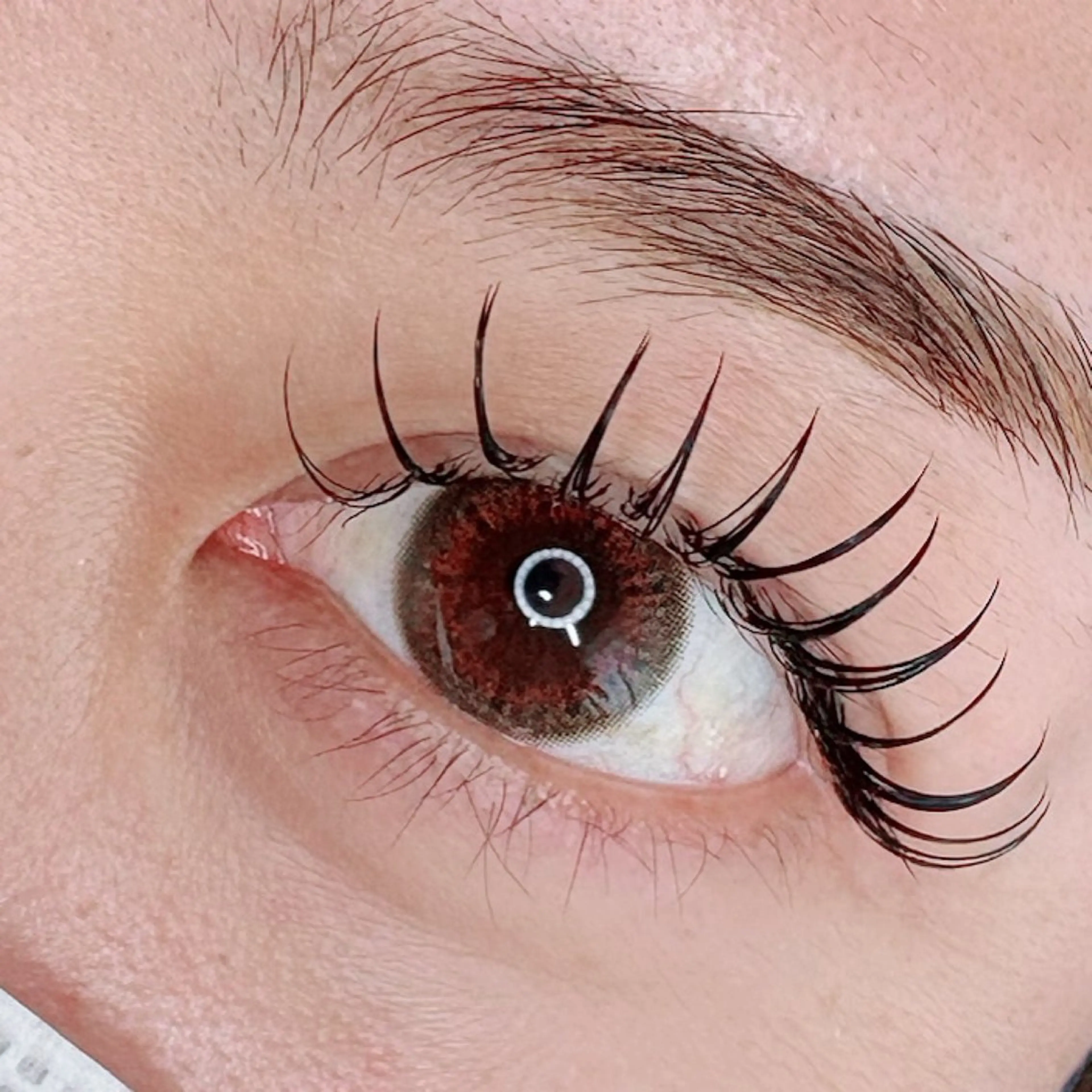 フラットラッシュ付け放題の写真