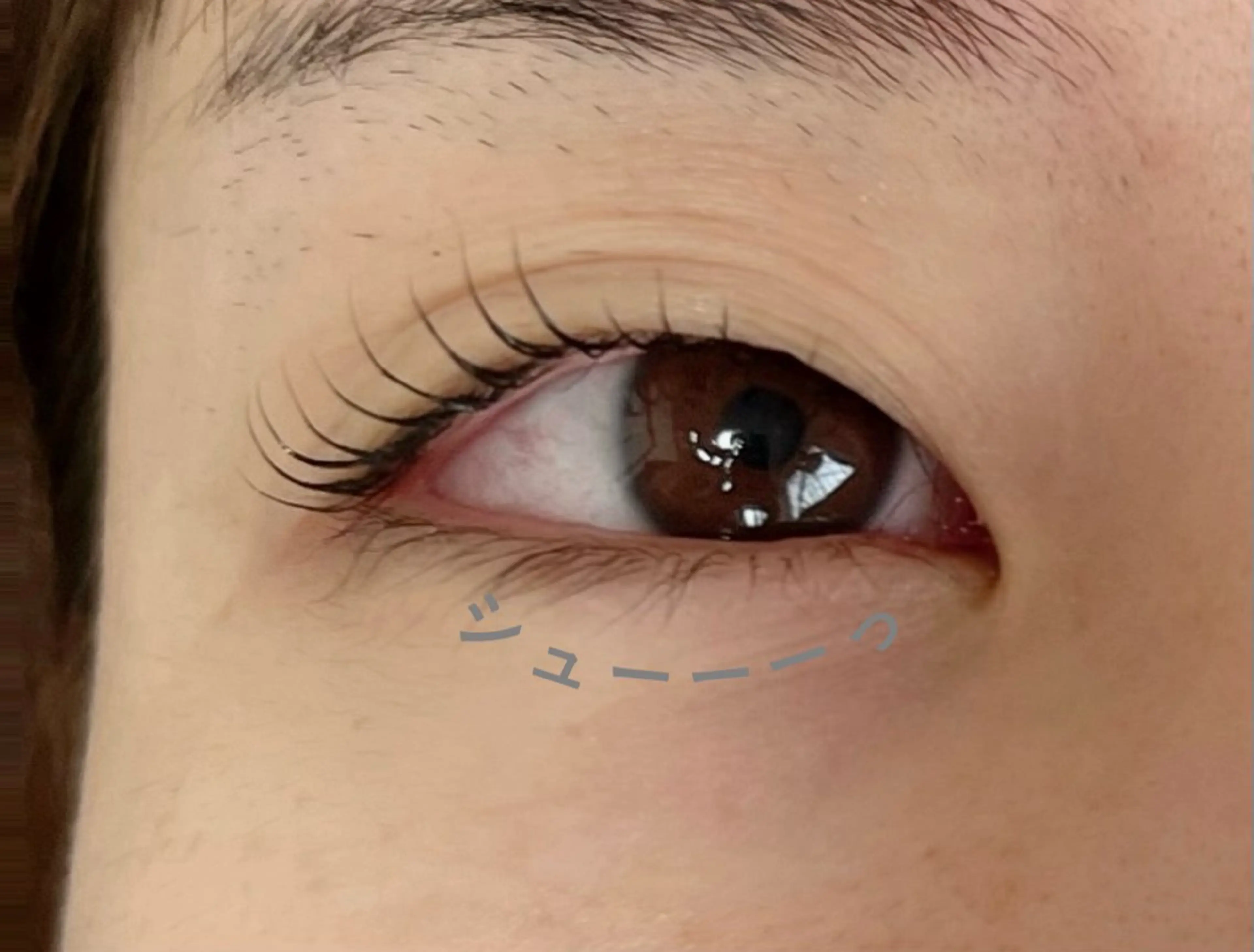 マツエク・マツパ パリジェンヌラッシュリフト まつげパーマ 🧸 Emiri🫧のマツエク・マツパデザイン